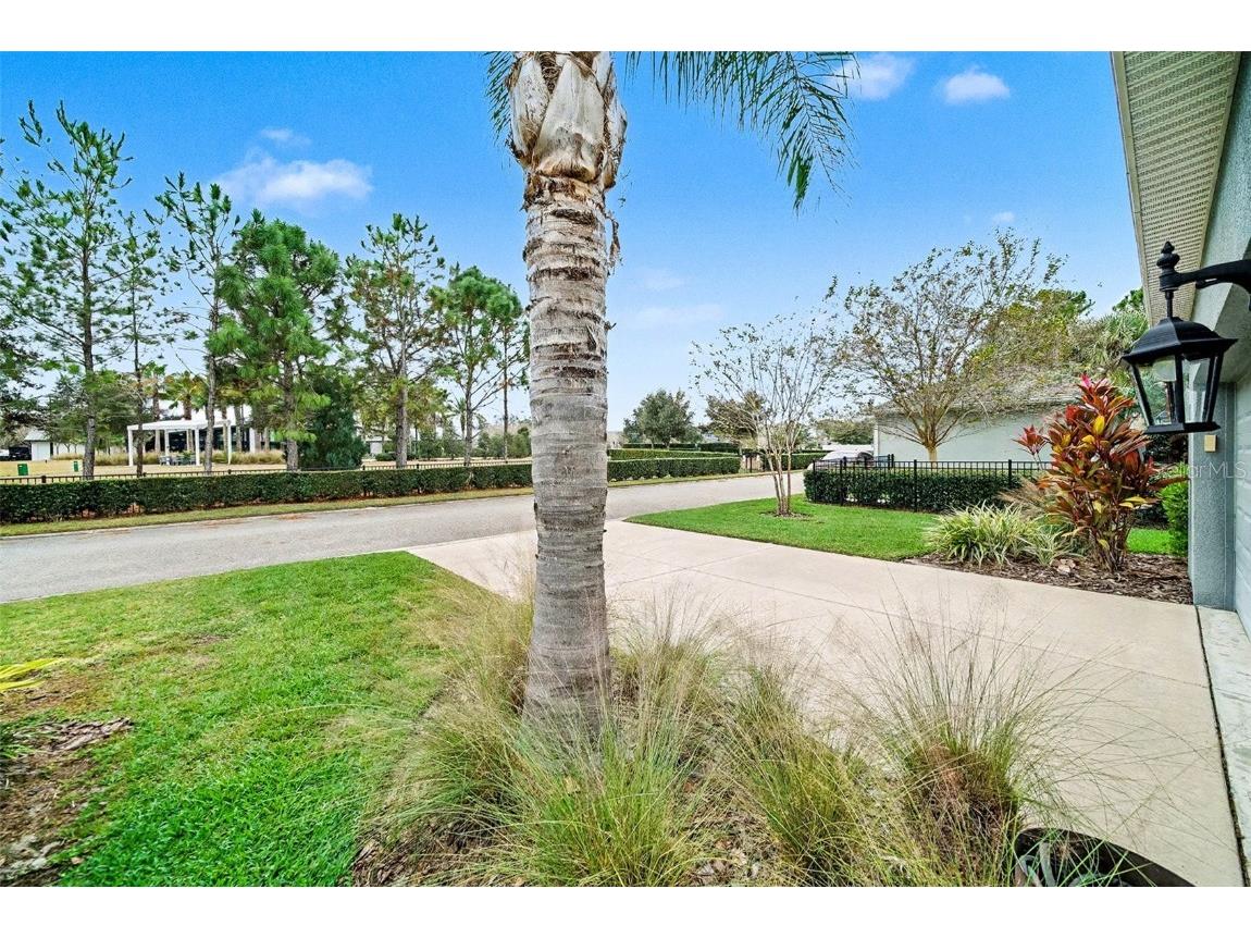 14902 Caravan Avenue Odessa FL 33556 TB8455328 image30