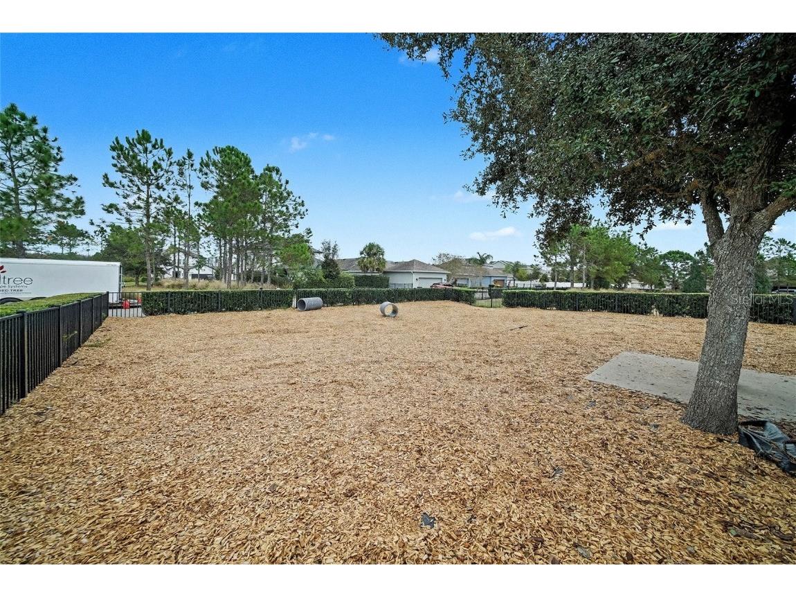 14902 Caravan Avenue Odessa FL 33556 TB8455328 image33