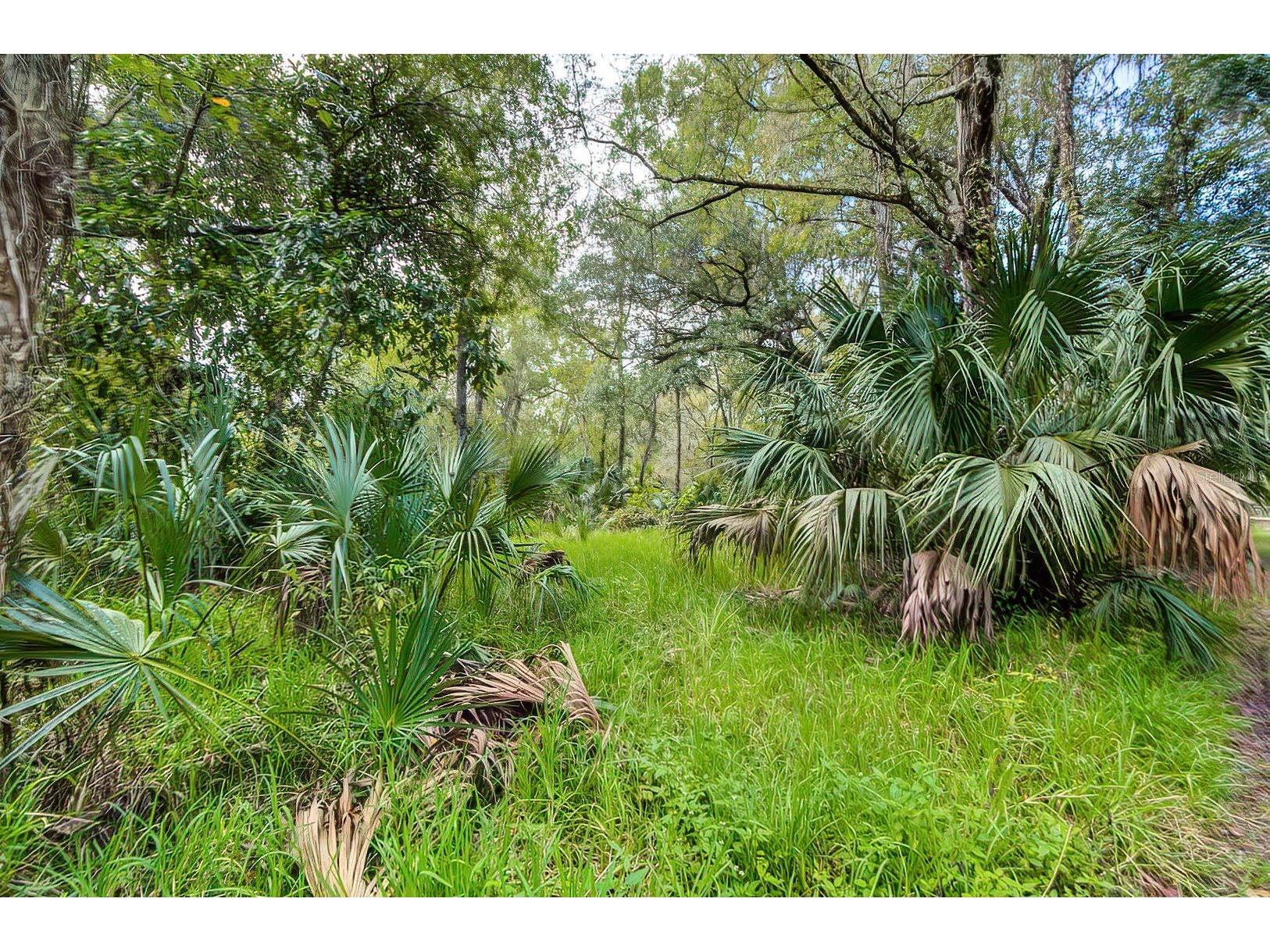 14902 Dead River Road Thonotosassa FL 33592 TB8482130 image1