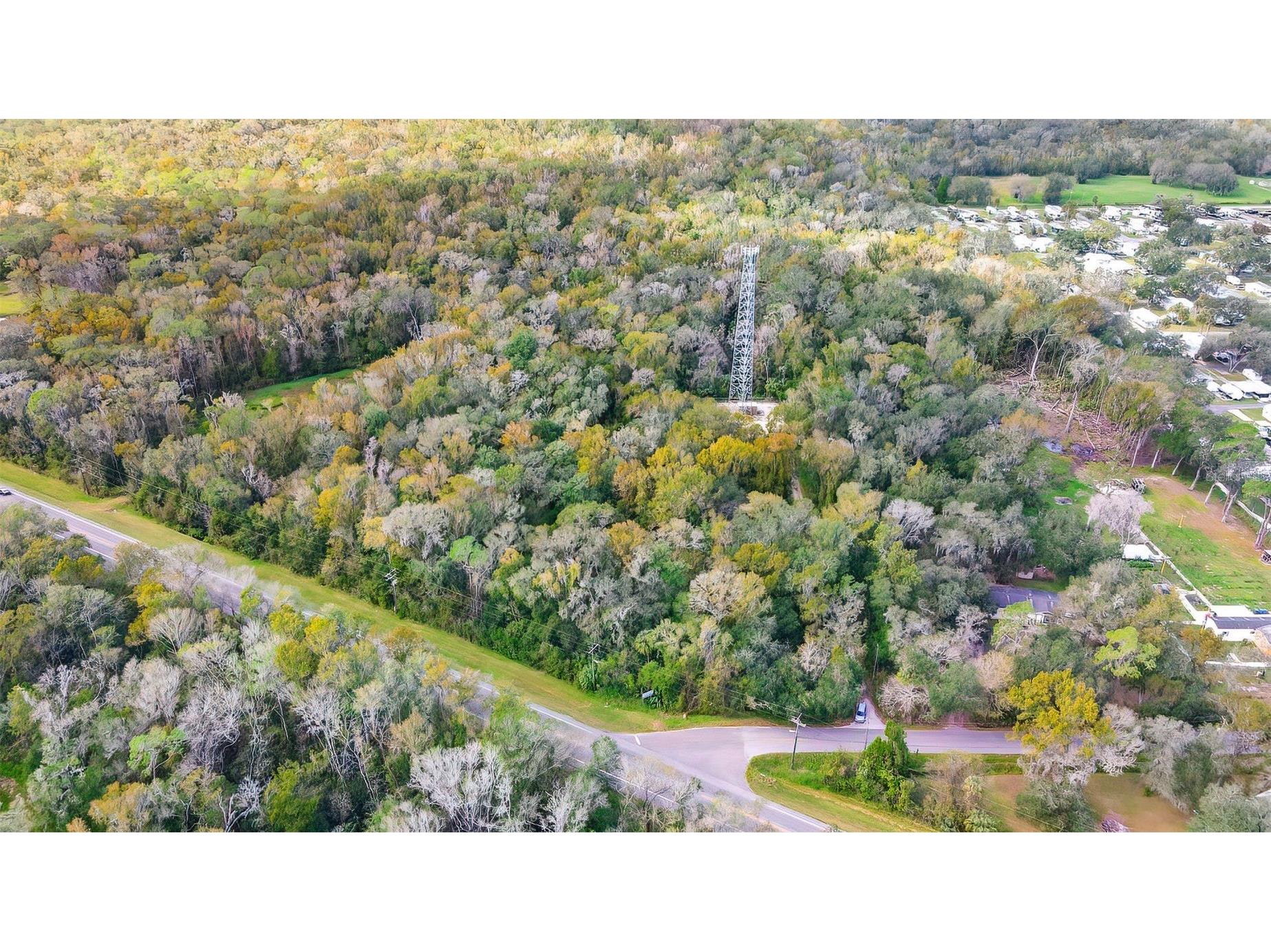 14902 Dead River Road Thonotosassa FL 33592 TB8482130 image2