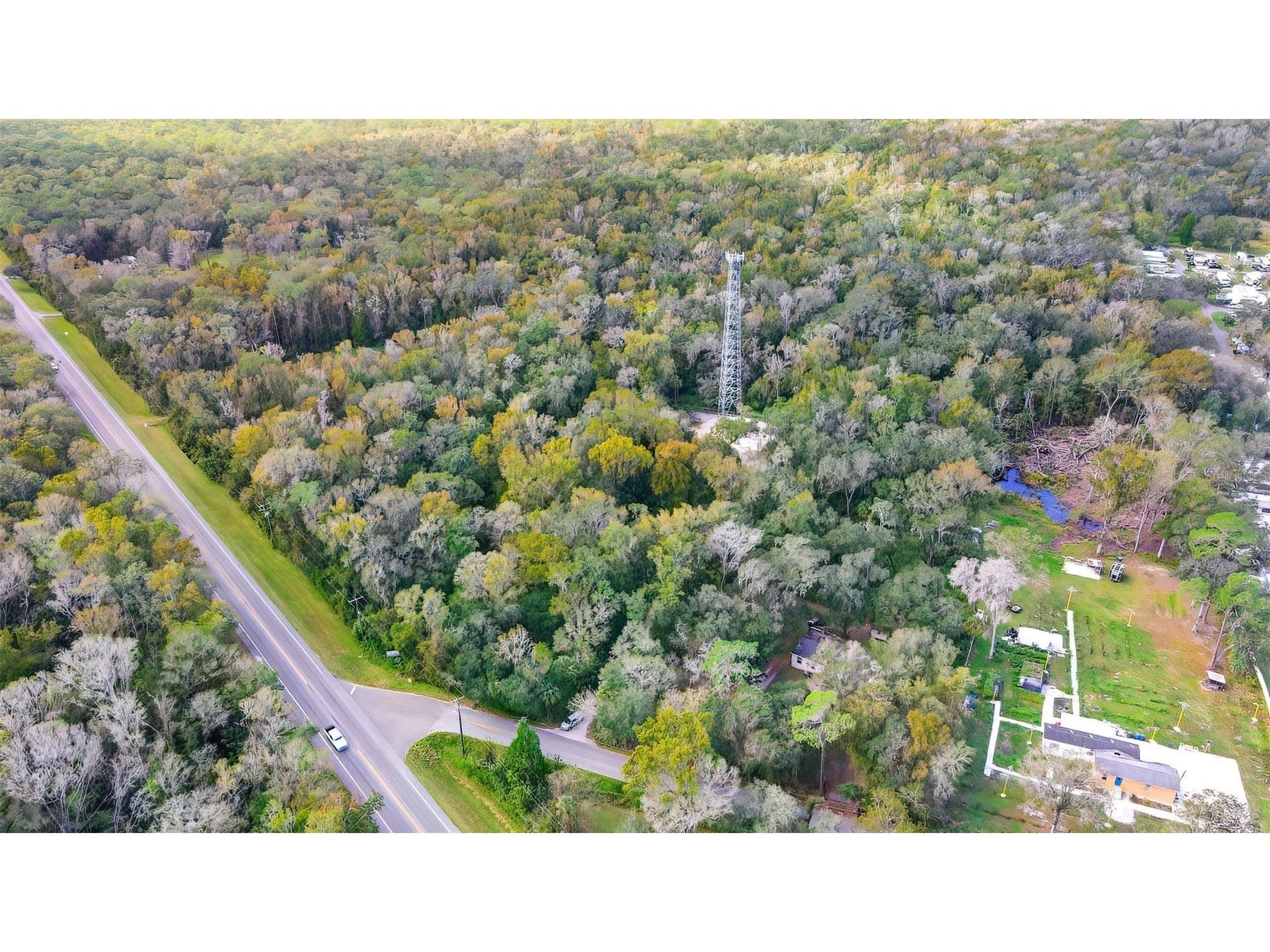 14902 Dead River Road Thonotosassa FL 33592 TB8482130 image3