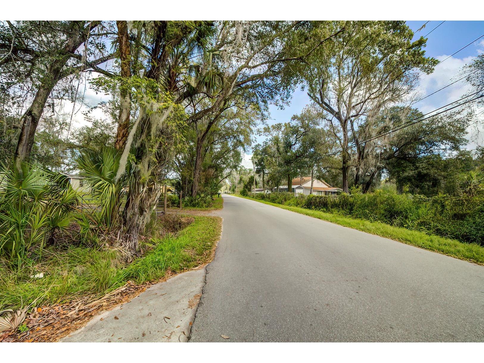 14902 Dead River Road Thonotosassa FL 33592 TB8482130 image4