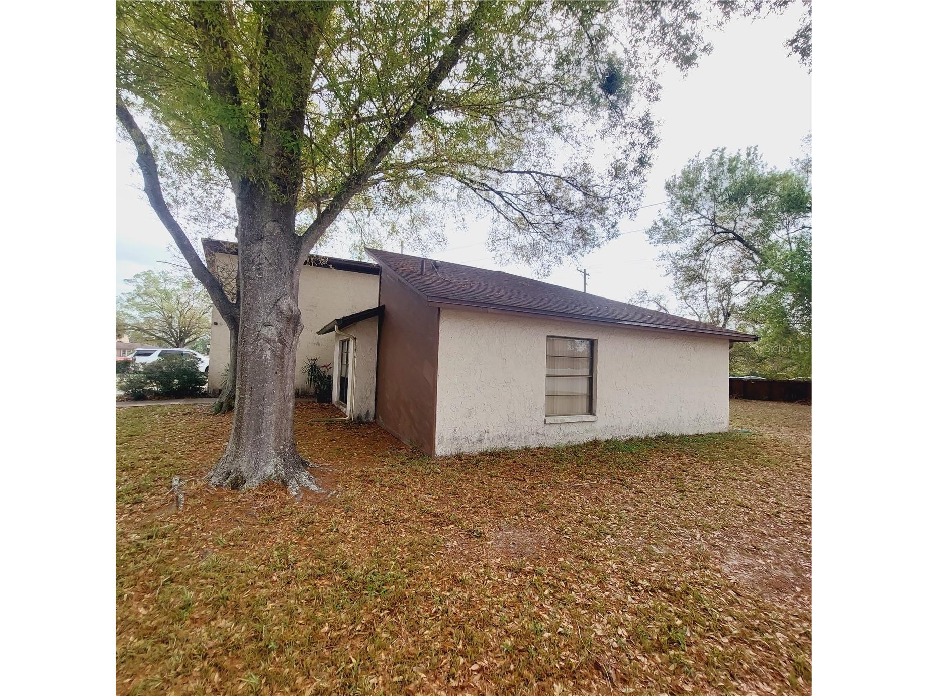 14902 Oldgate Place Tampa FL 33624 TB8487694 image3