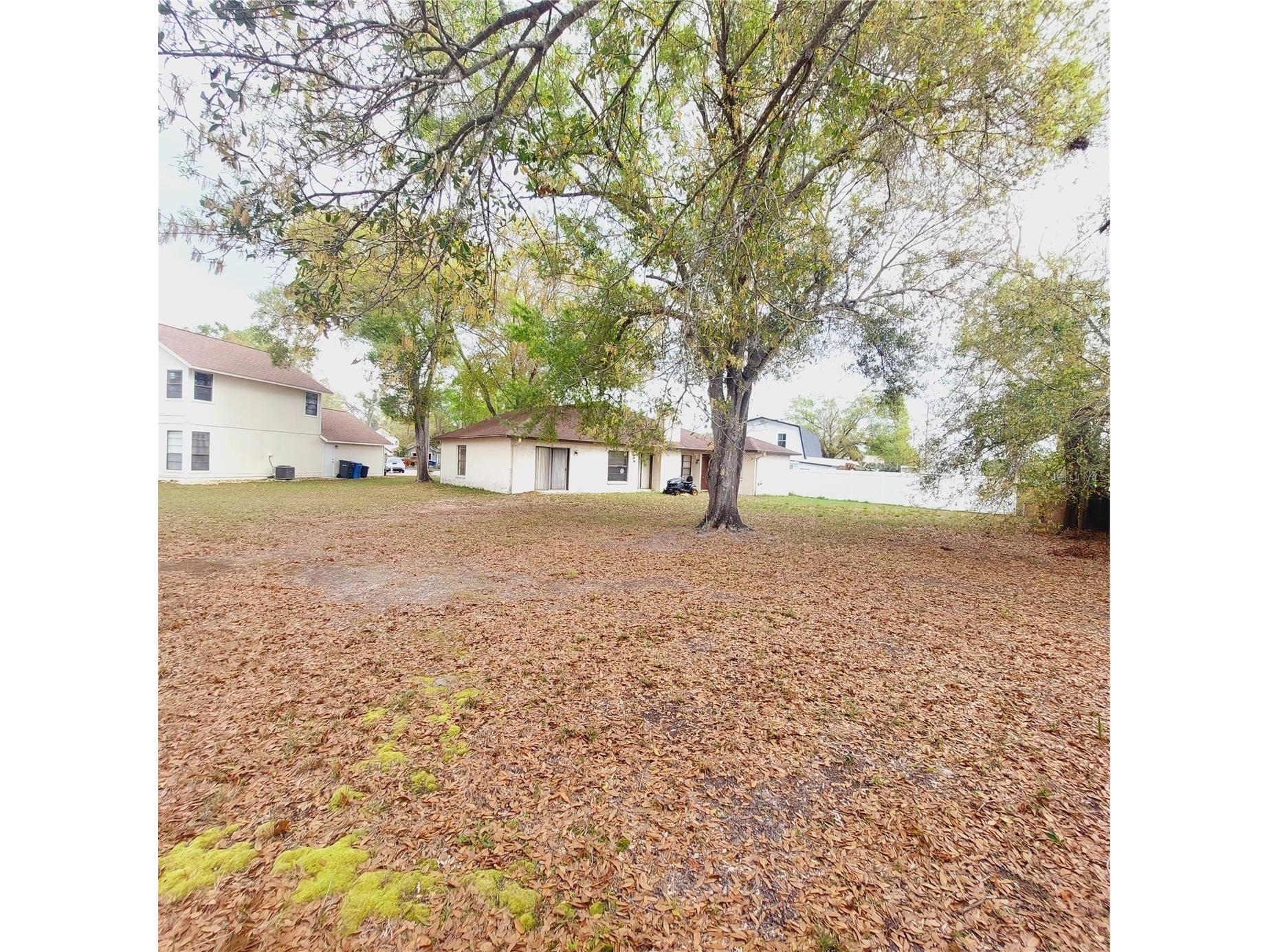 14902 Oldgate Place Tampa FL 33624 TB8487694 image5