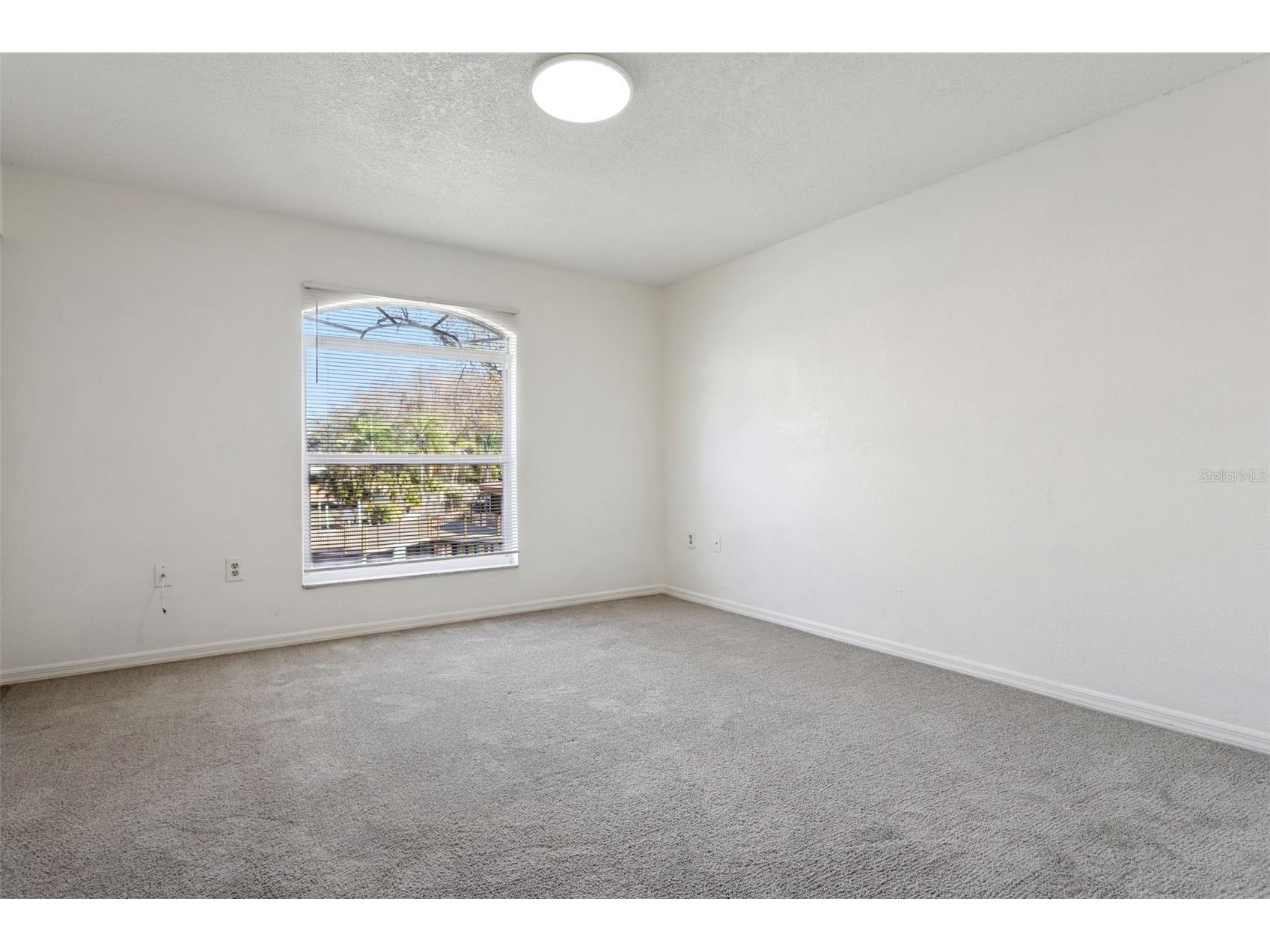 14902 Par Club Circle Tampa FL 33618 TB8489769 image13