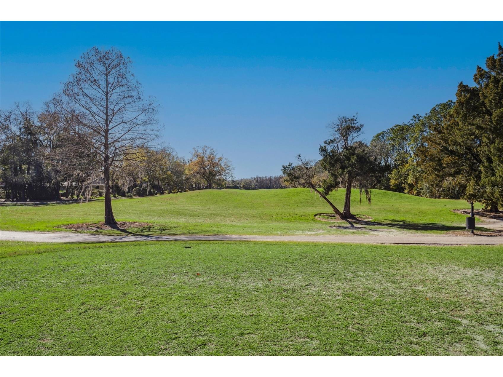 14902 Par Club Circle Tampa FL 33618 TB8489769 image24