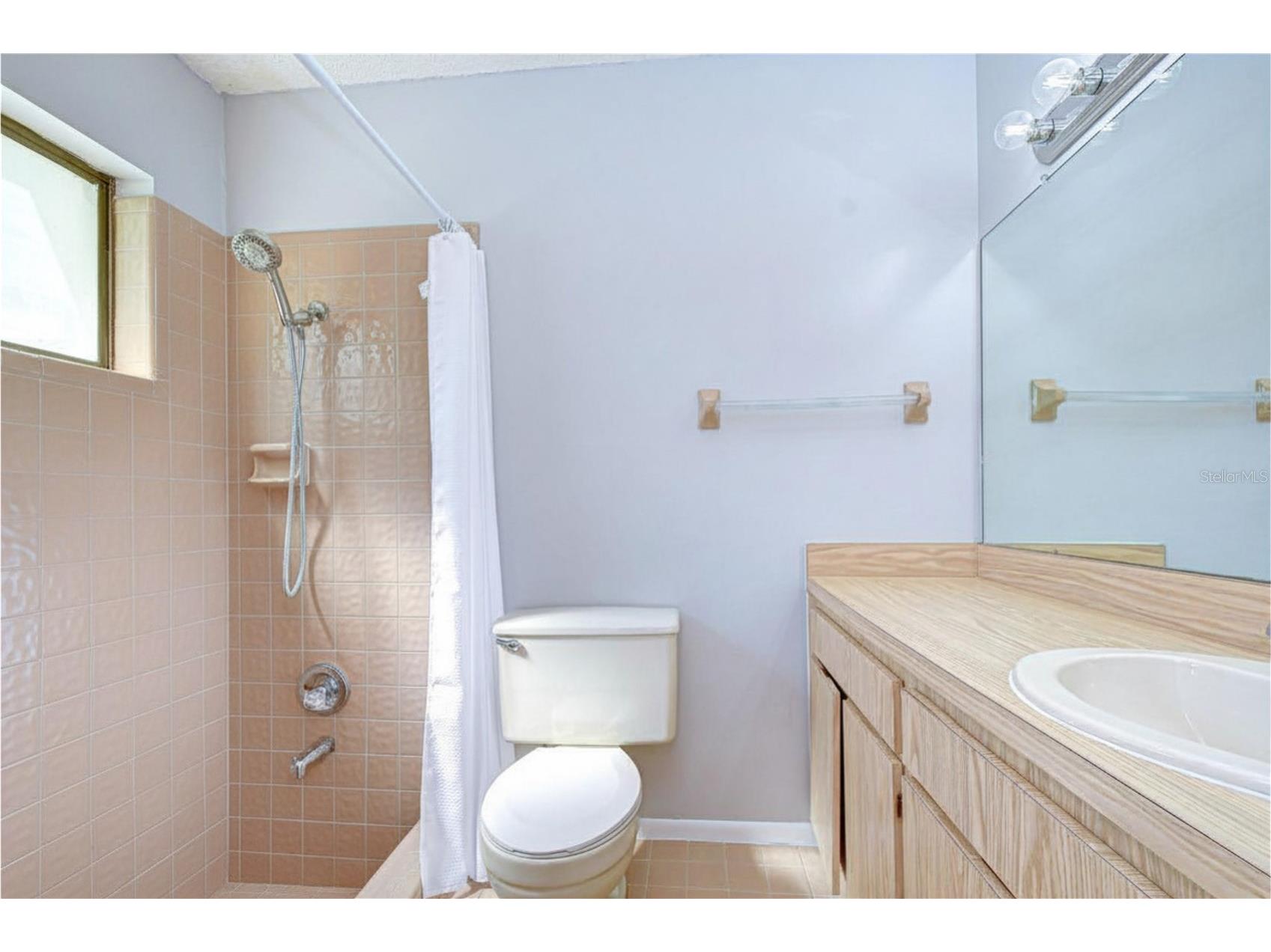 14902 Southfork Drive Tampa FL 33624 TB8497339 image17