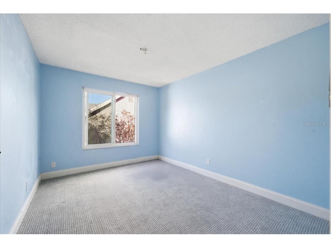 14903 Barby Avenue Tampa FL 33625 TB8451365 image44