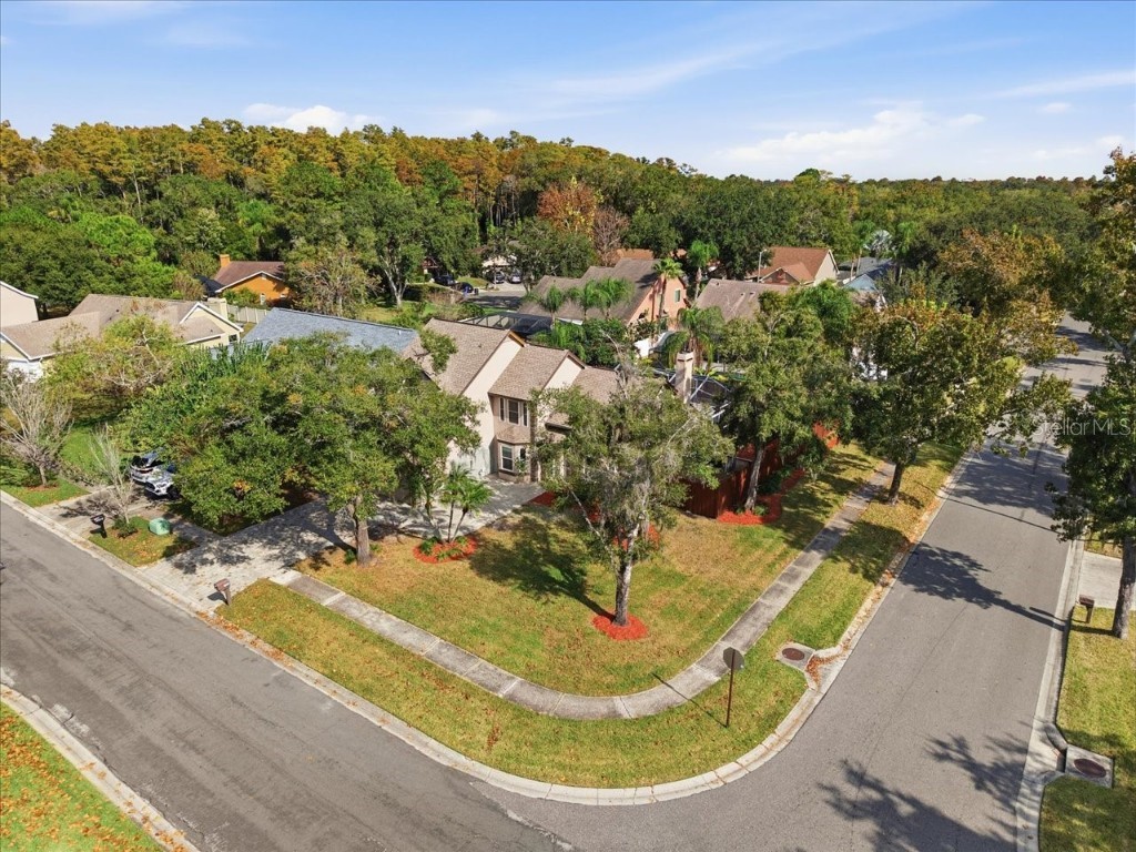 14903 Barby Avenue Tampa FL 33625 TB8451365 image5