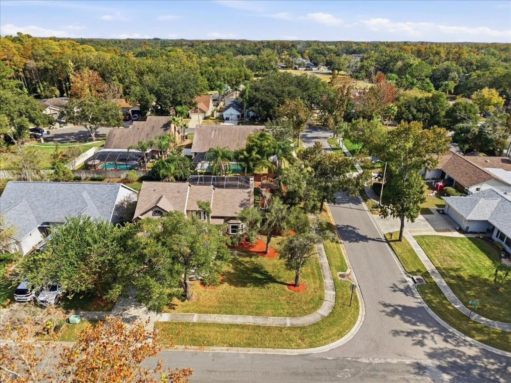 14903 Barby Avenue Tampa FL 33625 TB8451365 image53