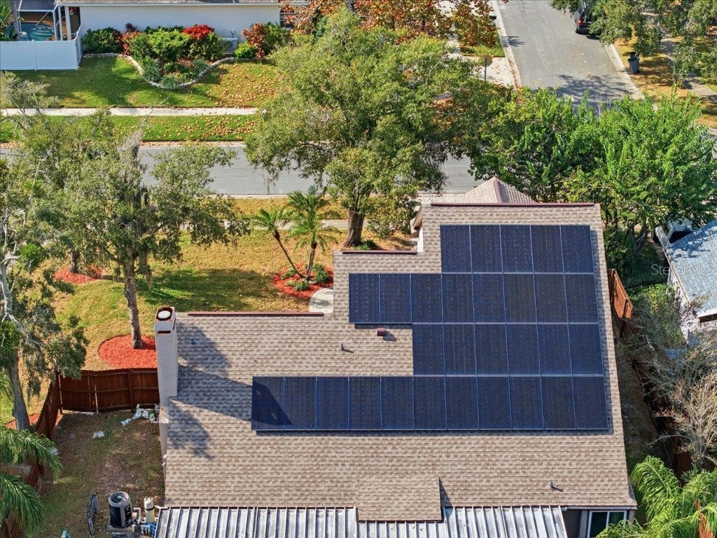 14903 Barby Avenue Tampa FL 33625 TB8451365 image54