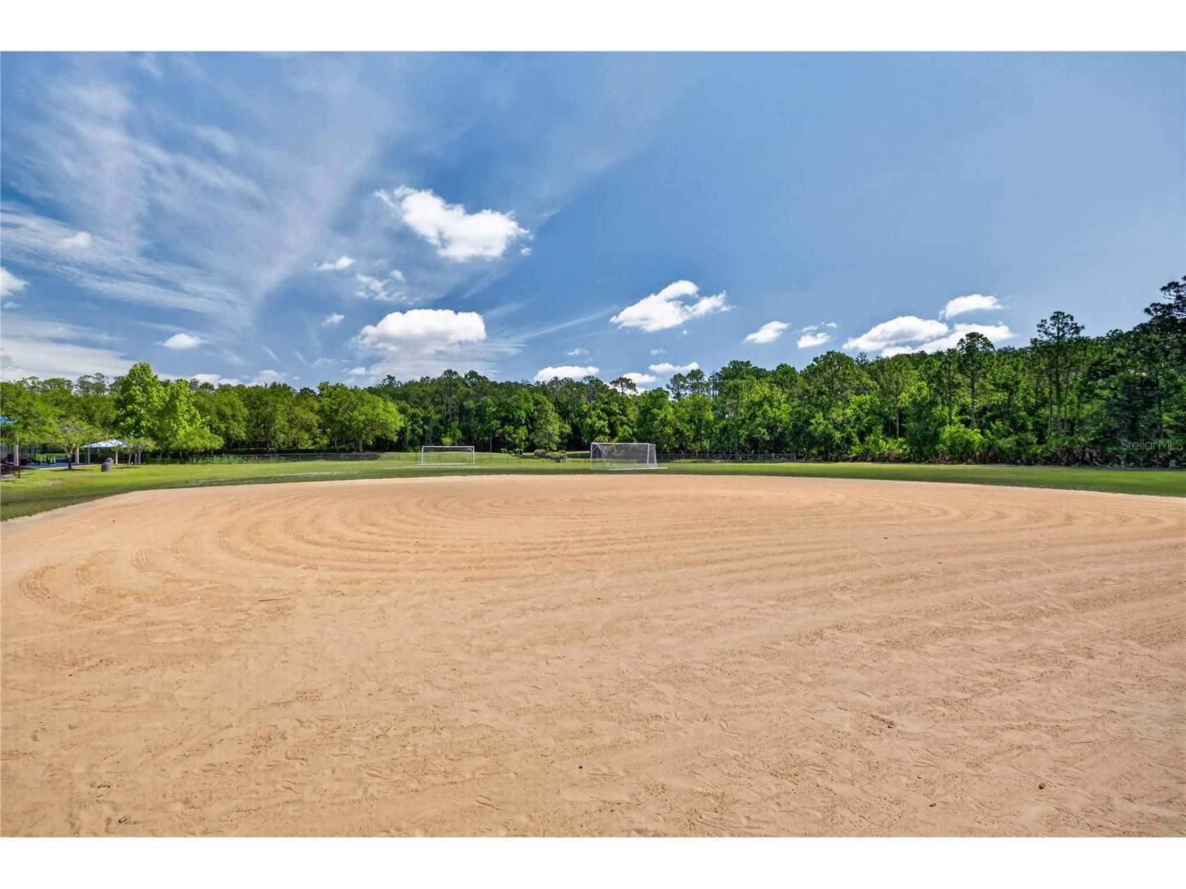 14903 Yorkshire Run Drive Orlando FL 32828 O6405133 image32