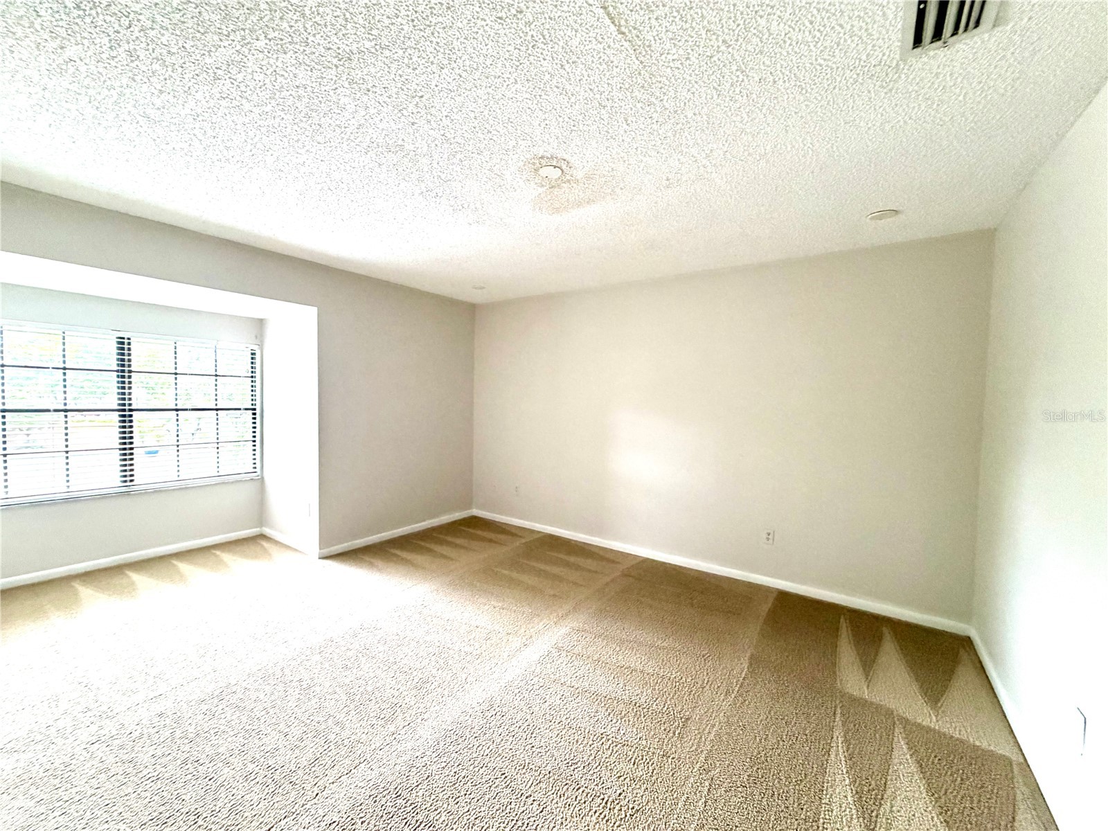 14904 Lake Forest Drive Lutz FL 33559 TB8501554 image10