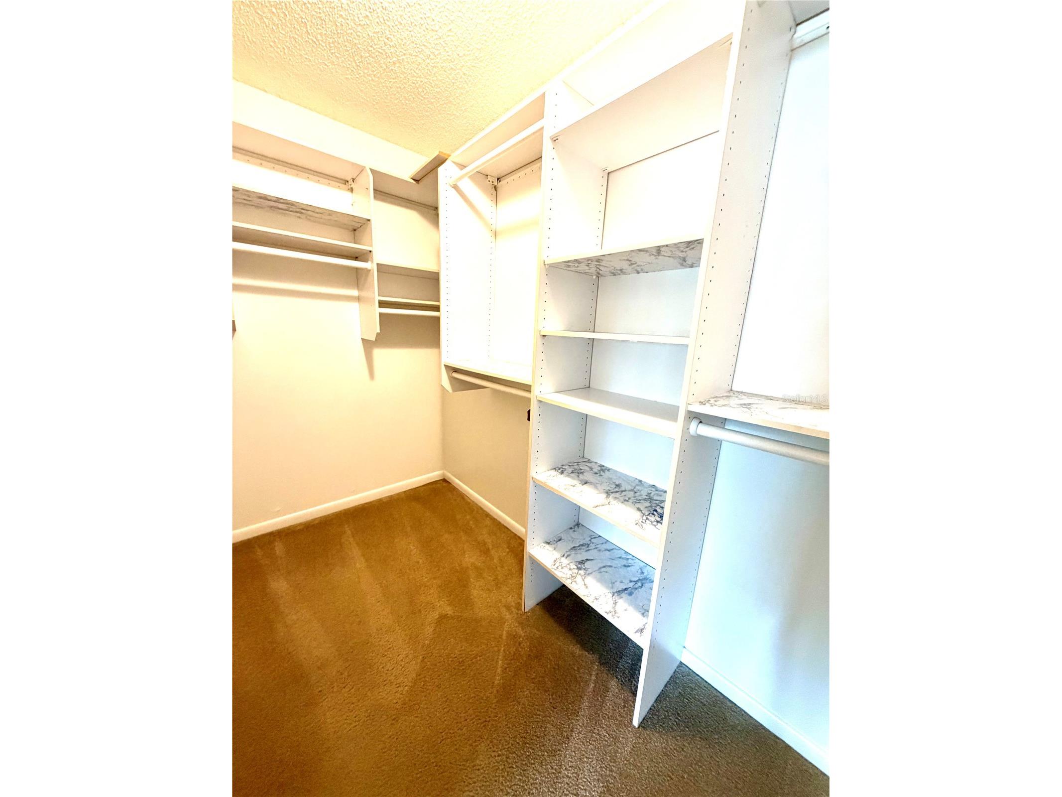 14904 Lake Forest Drive Lutz FL 33559 TB8501554 image11