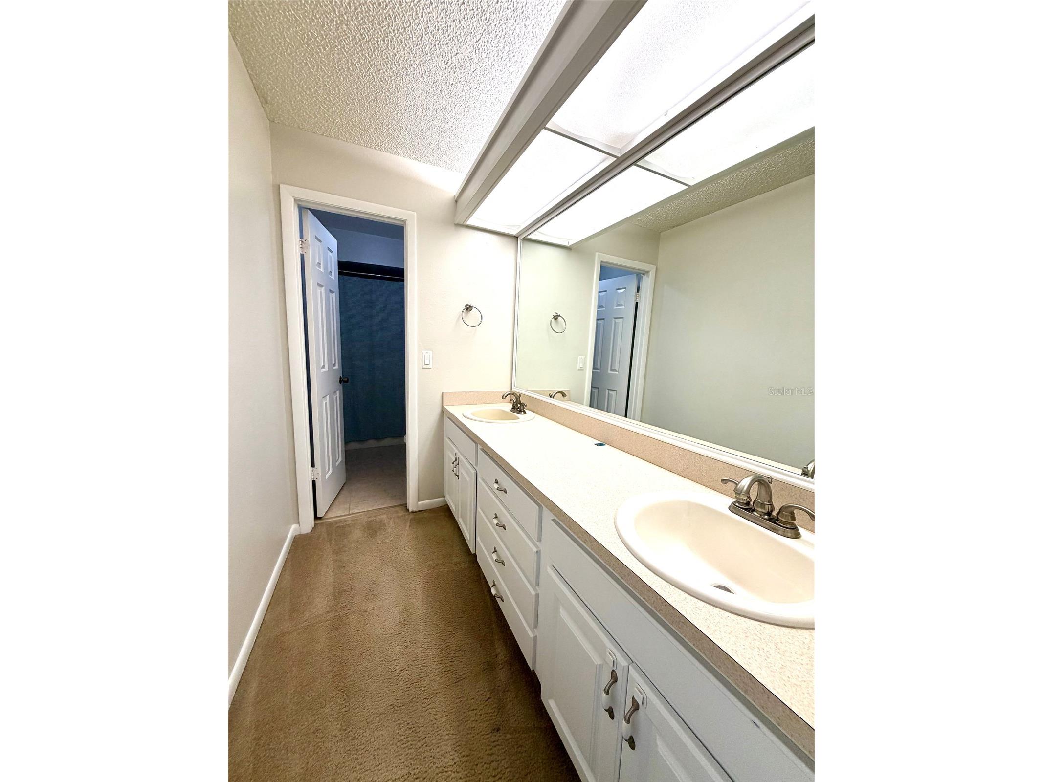 14904 Lake Forest Drive Lutz FL 33559 TB8501554 image12