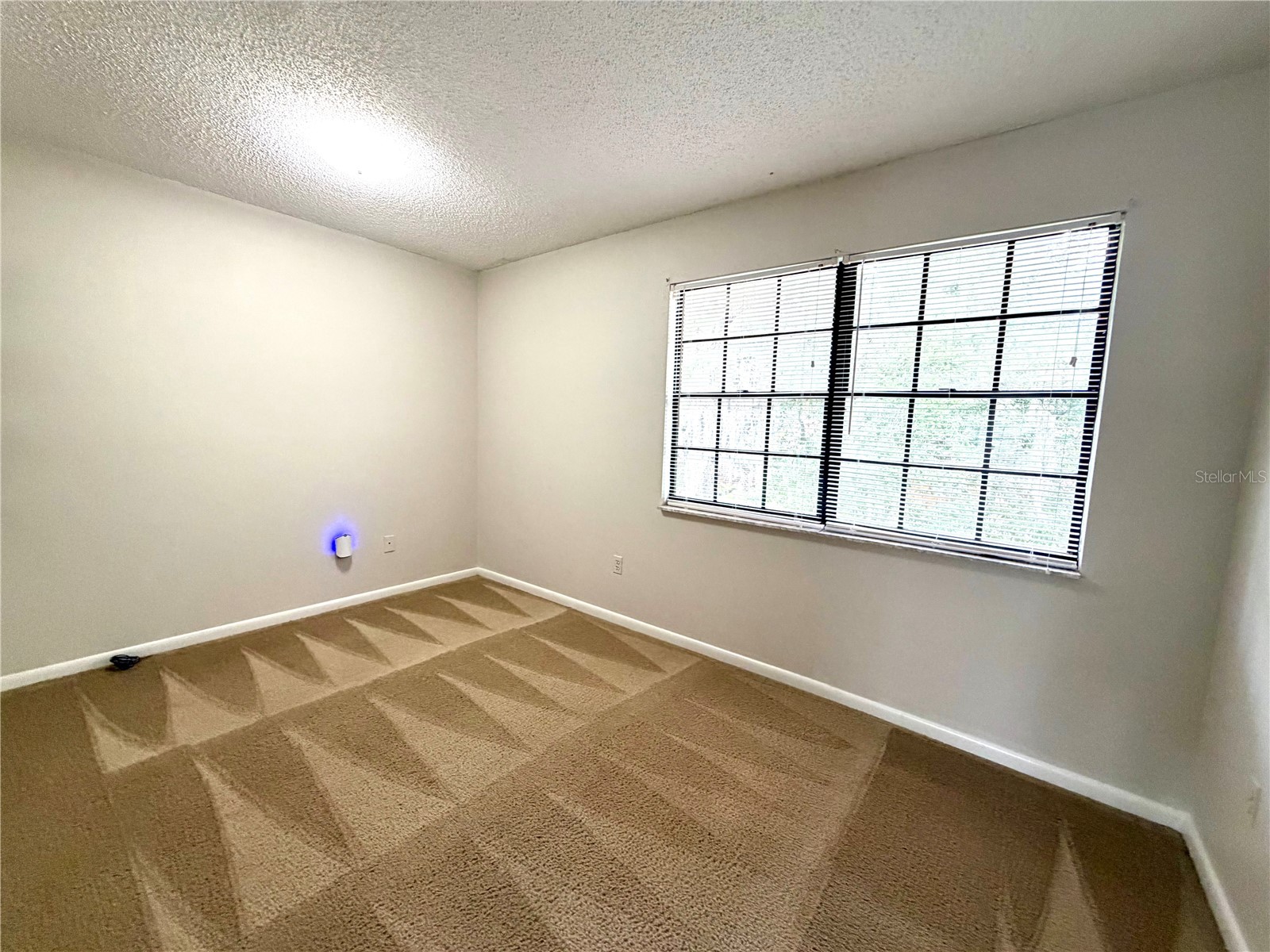 14904 Lake Forest Drive Lutz FL 33559 TB8501554 image14