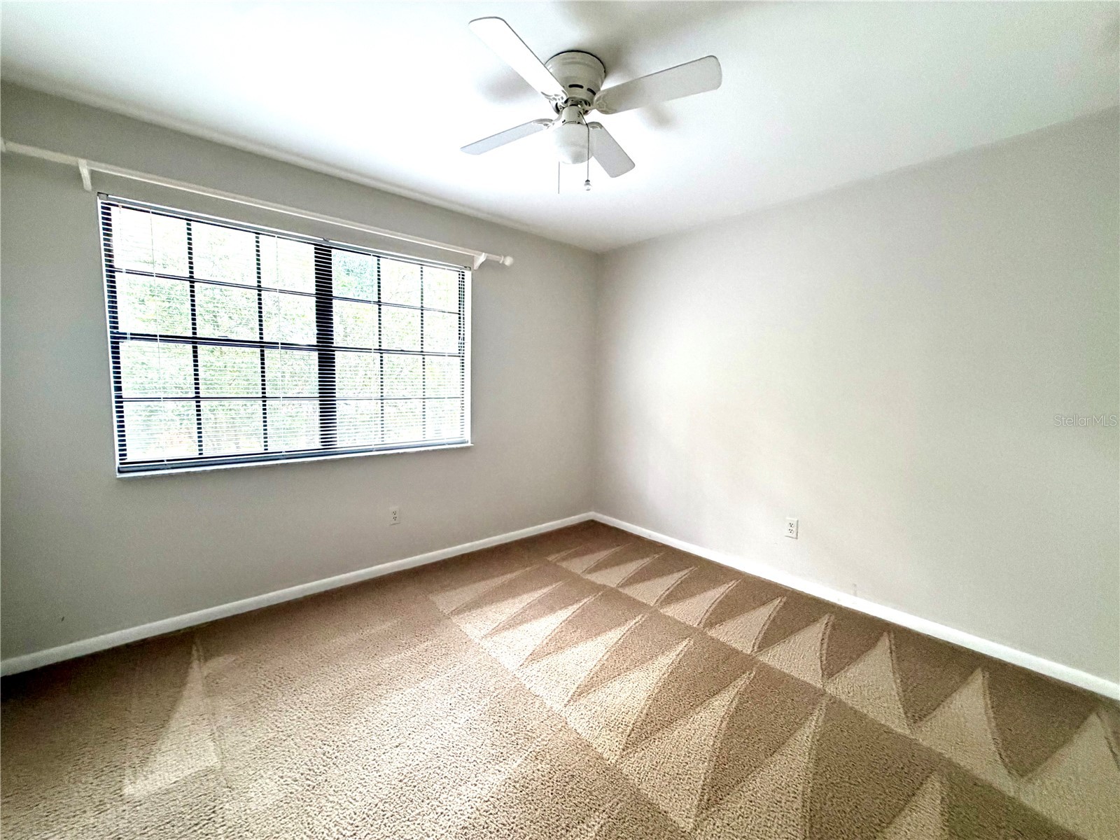 14904 Lake Forest Drive Lutz FL 33559 TB8501554 image15
