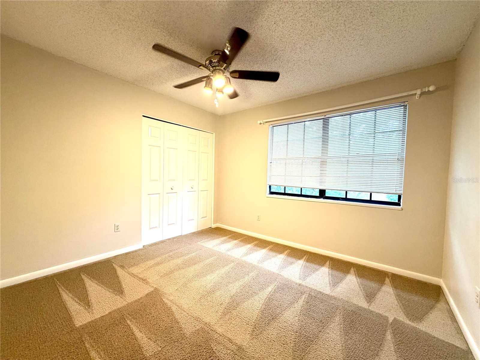14904 Lake Forest Drive Lutz FL 33559 TB8501554 image16
