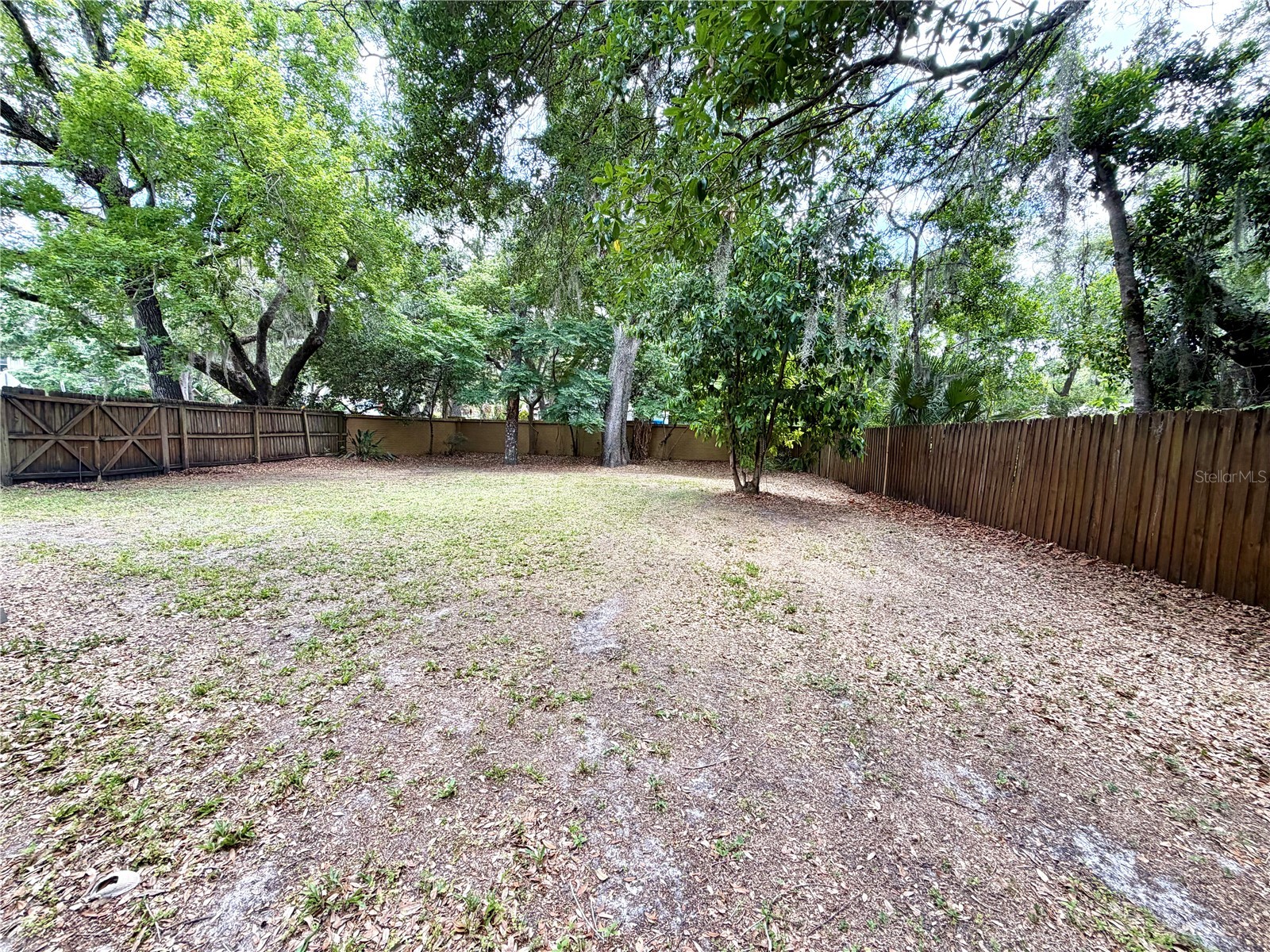 14904 Lake Forest Drive Lutz FL 33559 TB8501554 image21