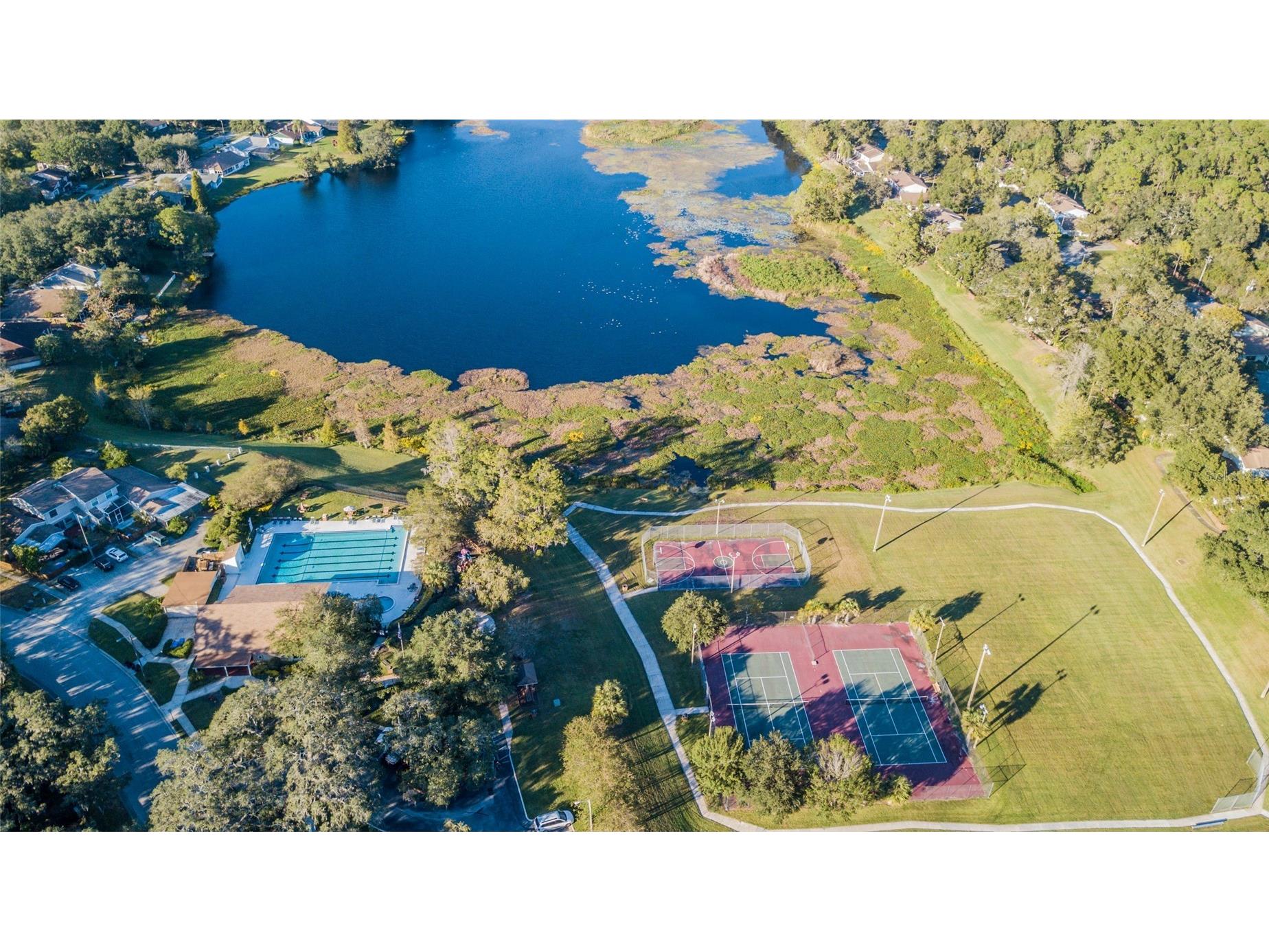 14904 Lake Forest Drive Lutz FL 33559 TB8501554 image23