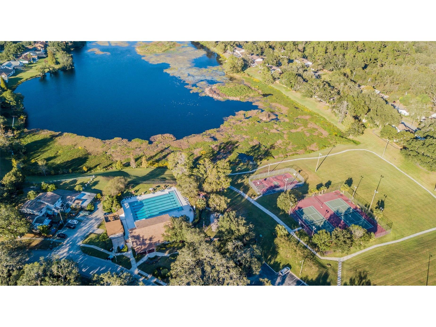14904 Lake Forest Drive Lutz FL 33559 TB8501554 image24