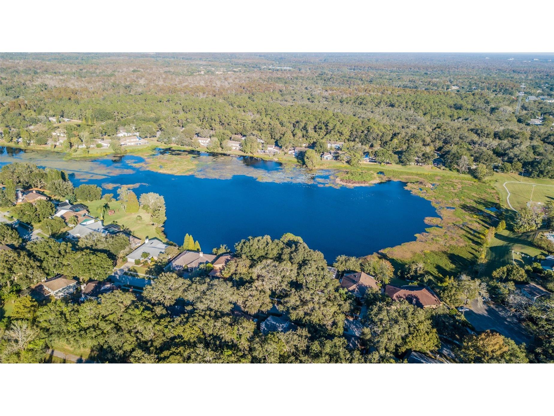 14904 Lake Forest Drive Lutz FL 33559 TB8501554 image25