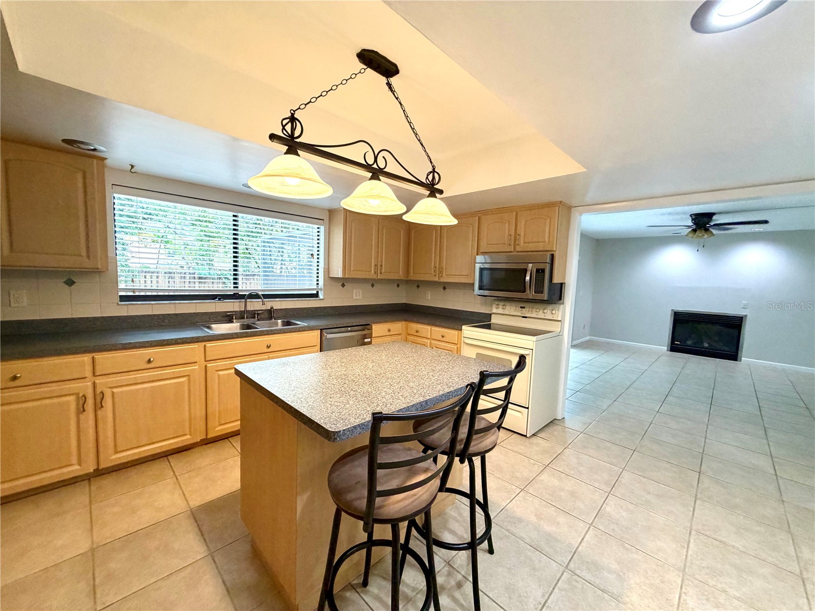 14904 Lake Forest Drive Lutz FL 33559 TB8501554 image8