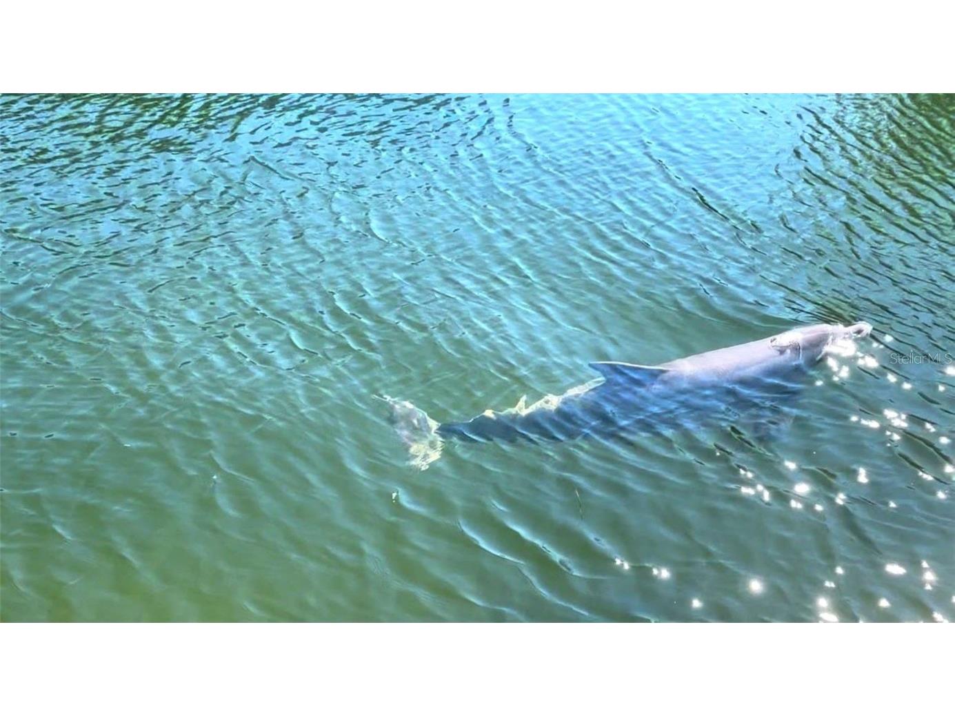 14905 Old Dixie Highway Hudson FL 34667 - GULF OF AMERICA W7879444 image7