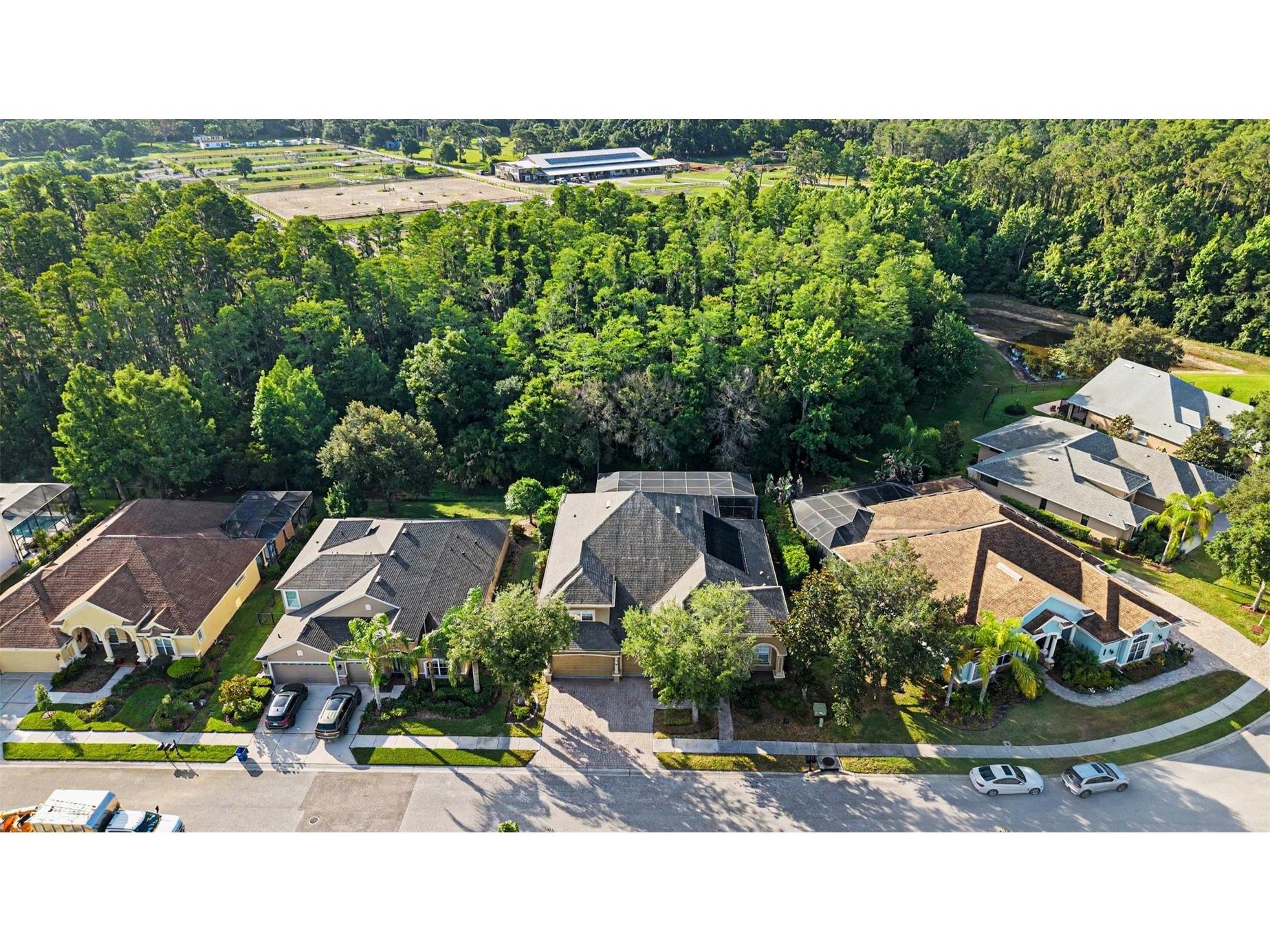 14906 Man O War Drive Odessa FL 33556 TB8518720 image42
