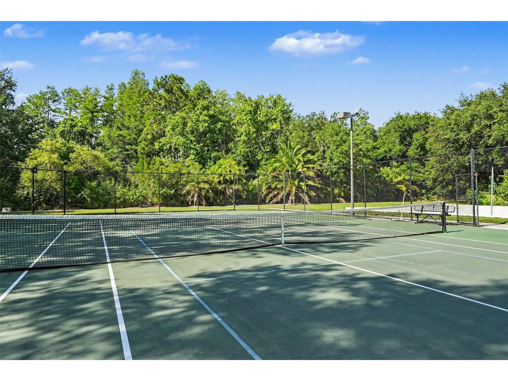 14906 Man O War Drive Odessa FL 33556 TB8518720 image45