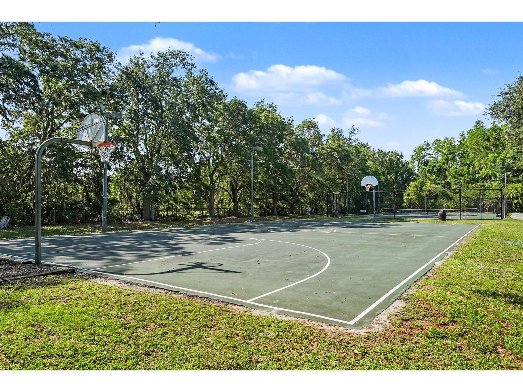 14906 Man O War Drive Odessa FL 33556 TB8518720 image46