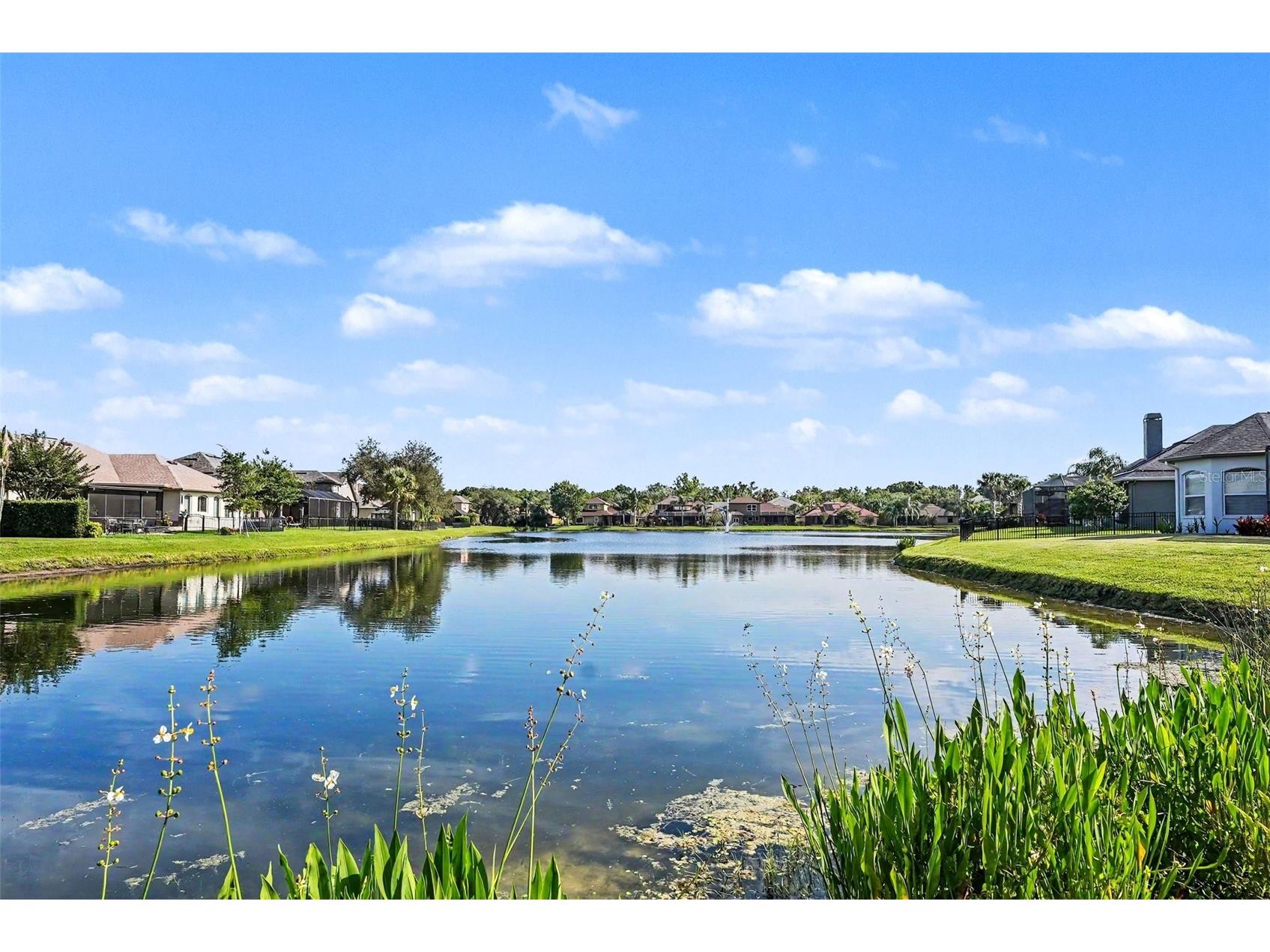14906 Man O War Drive Odessa FL 33556 TB8518720 image48