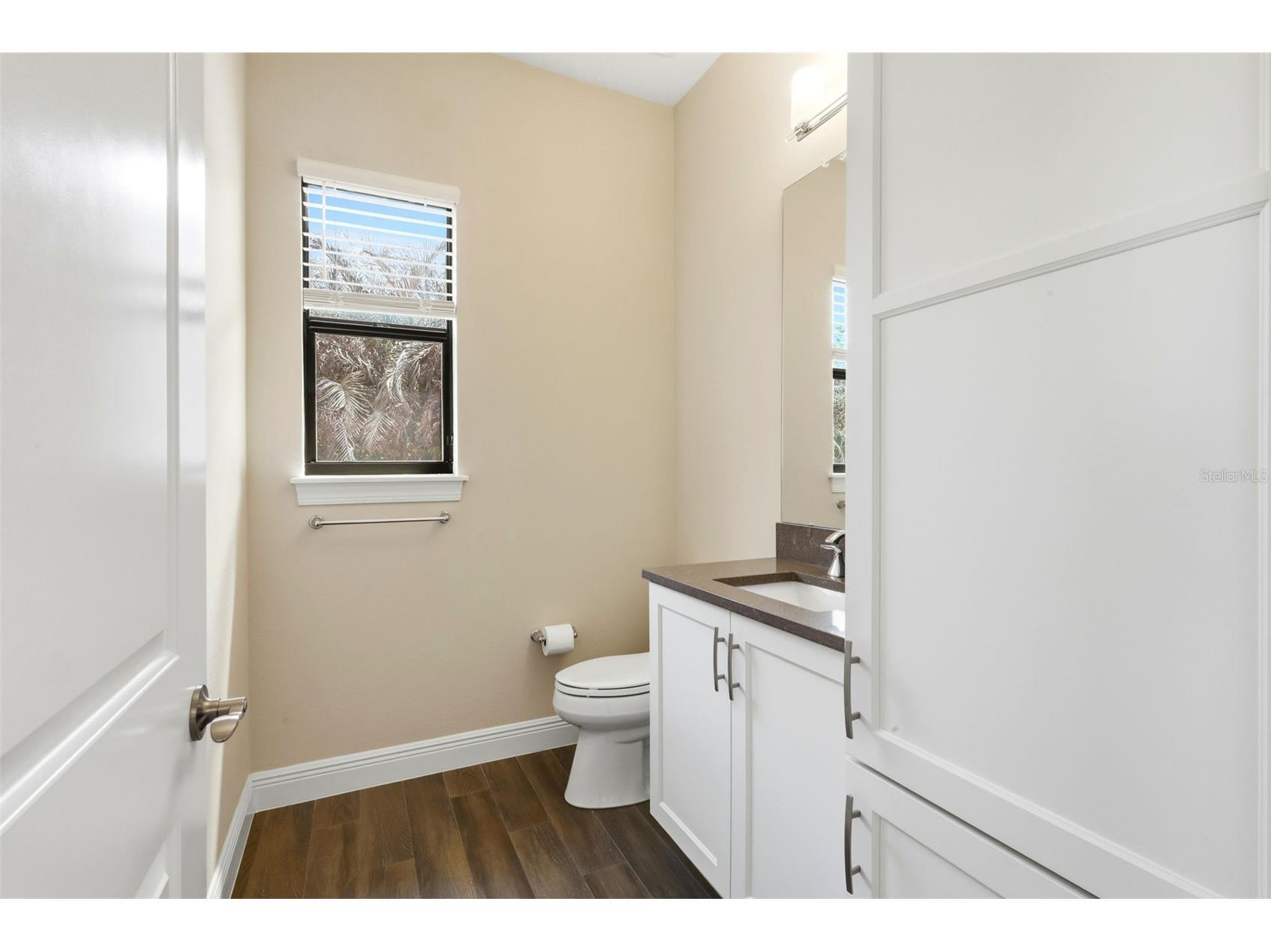 14907 Tavares Mill Avenue Lithia FL 33547 TB8487877 image44