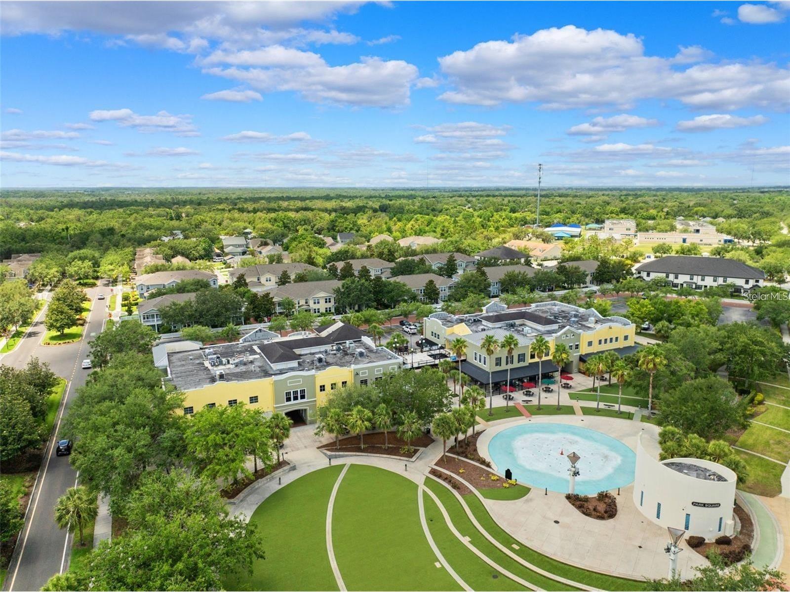 14907 Tavares Mill Avenue Lithia FL 33547 TB8487877 image49