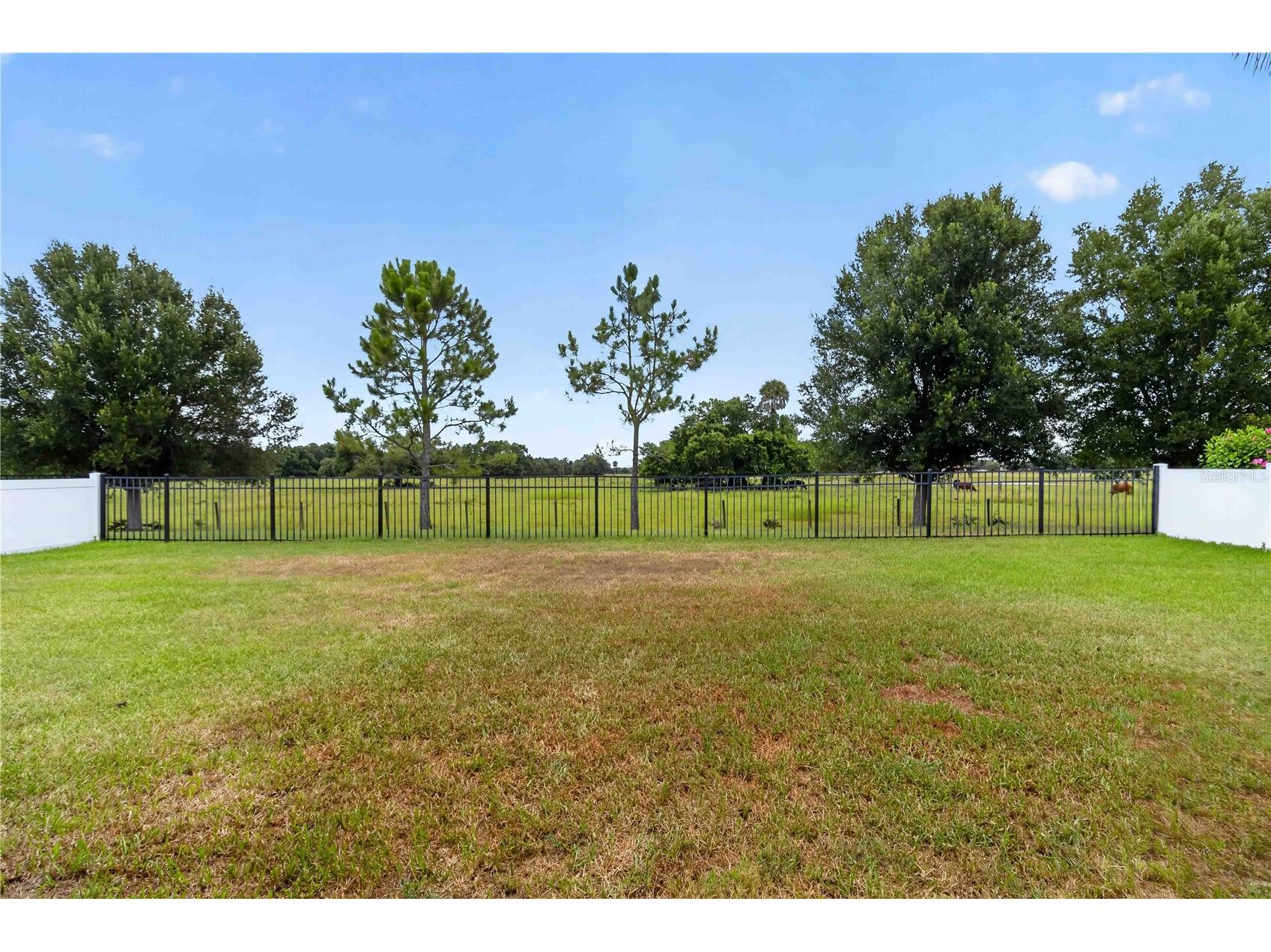 14907 Trinity Fall Way Bradenton FL 34212 A4698537 image29