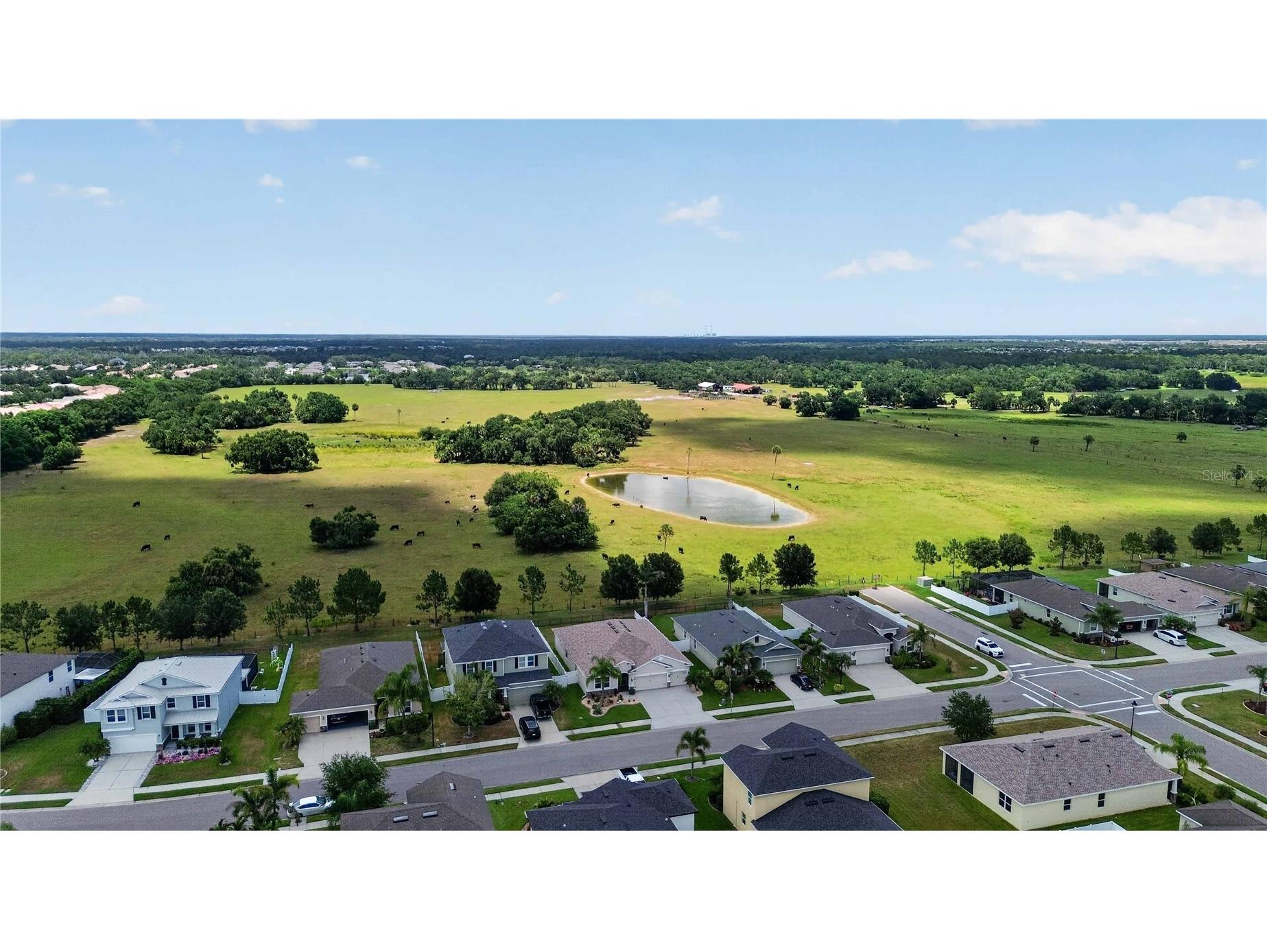14907 Trinity Fall Way Bradenton FL 34212 A4698537 image37
