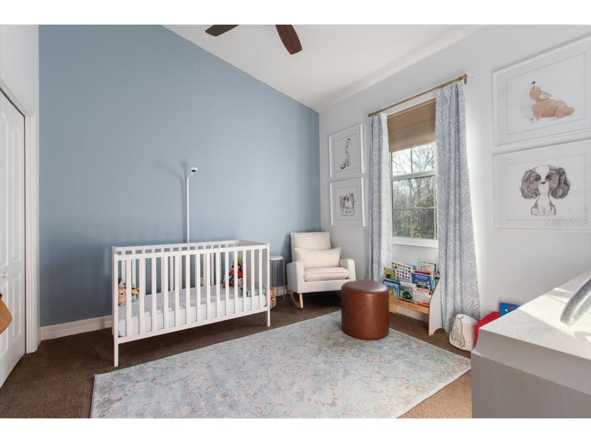 14909 Smitter Reserve Drive Tampa FL 33618 TB8467795 image29
