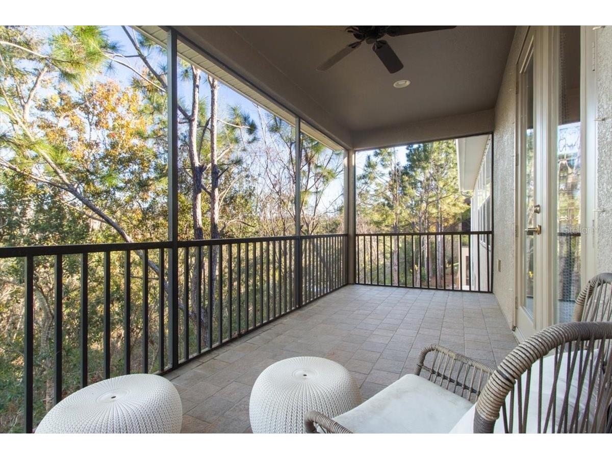 14909 Smitter Reserve Drive Tampa FL 33618 TB8467795 image40