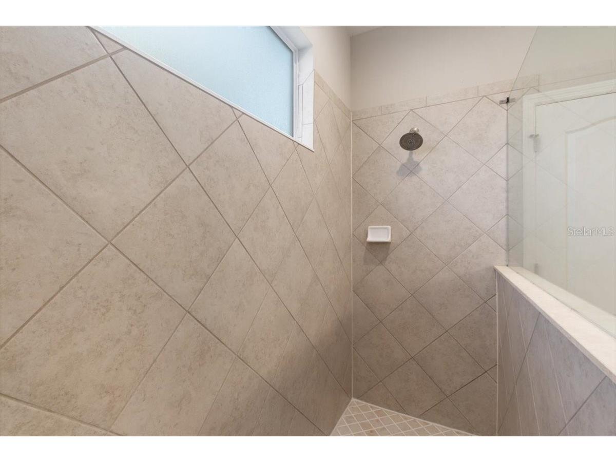 14909 Smitter Reserve Drive Tampa FL 33618 TB8467795 image42