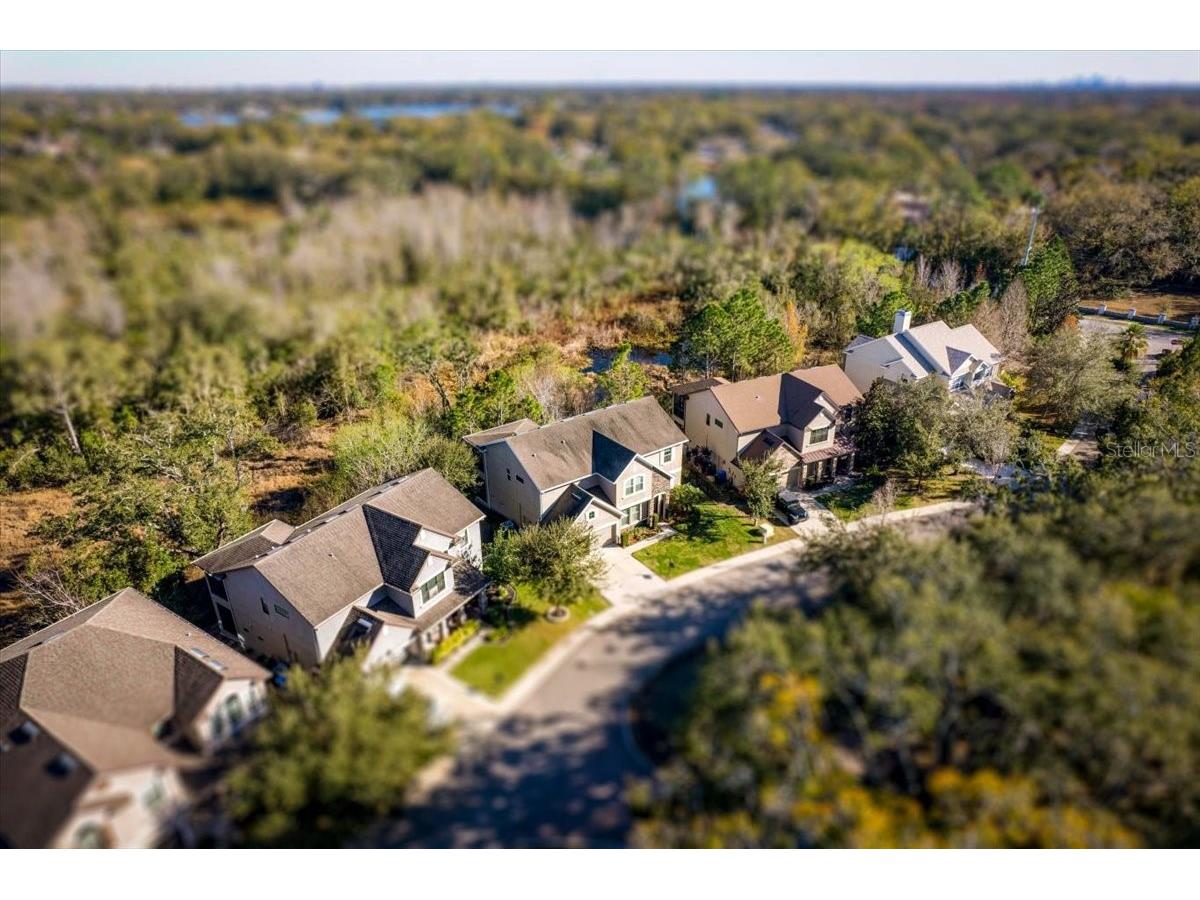 14909 Smitter Reserve Drive Tampa FL 33618 TB8467795 image52