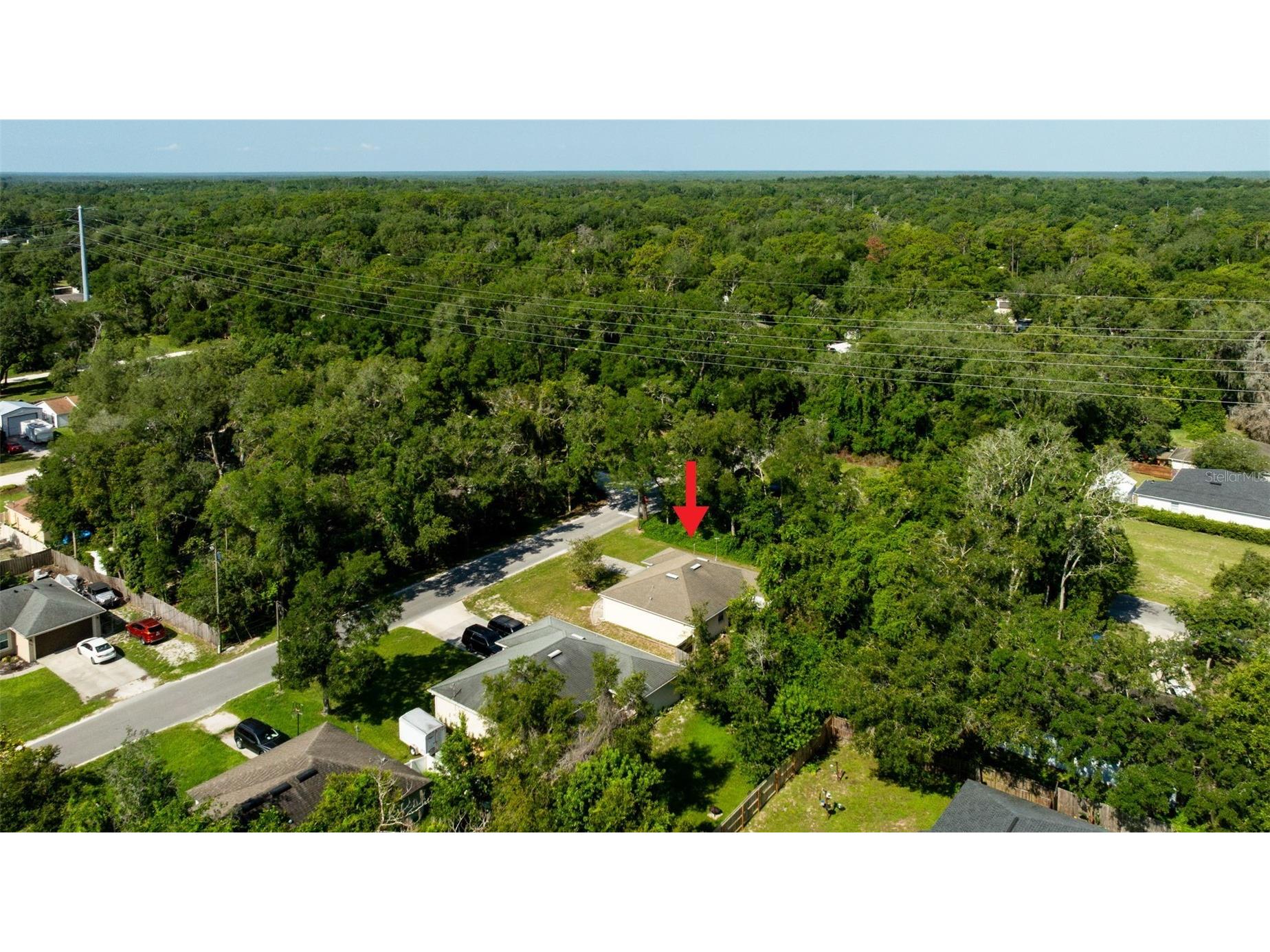 1491 16th Street Orange City FL 32763 V4949875 image40