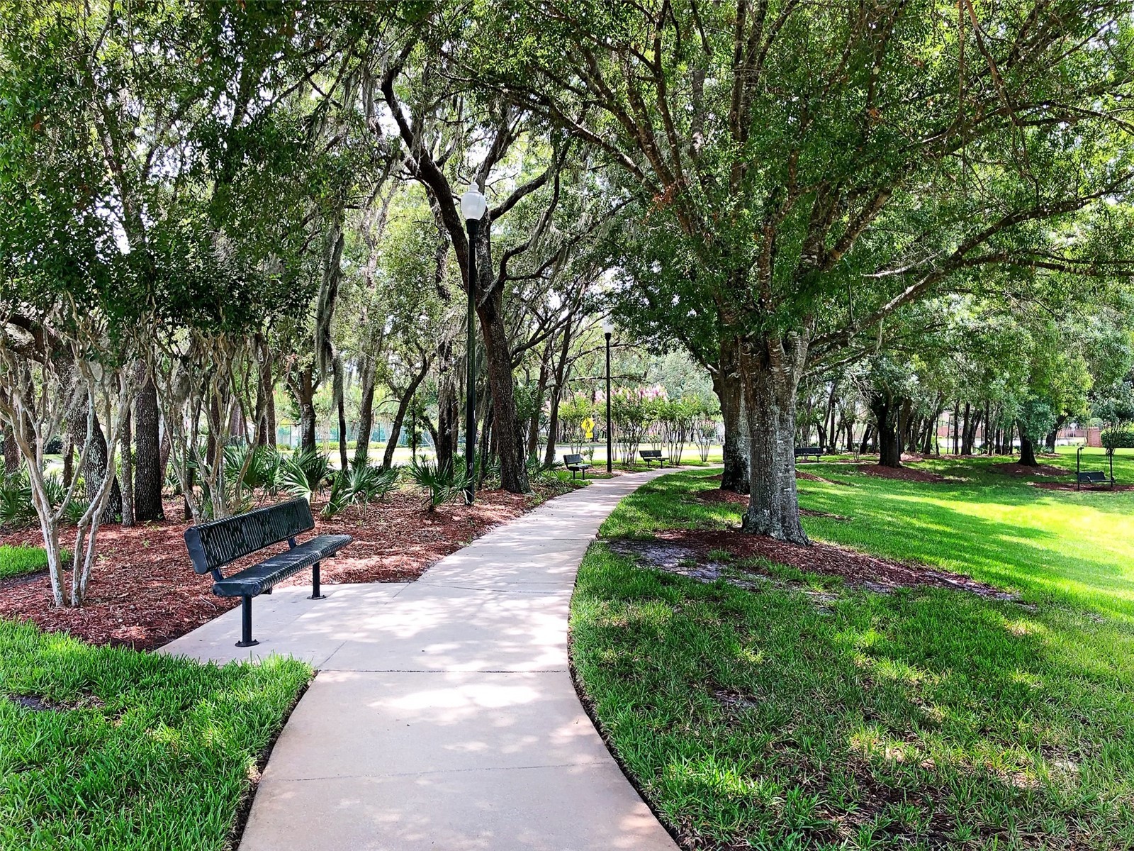 1491 Hampstead Cove Oviedo FL 32765 O6407551 image72
