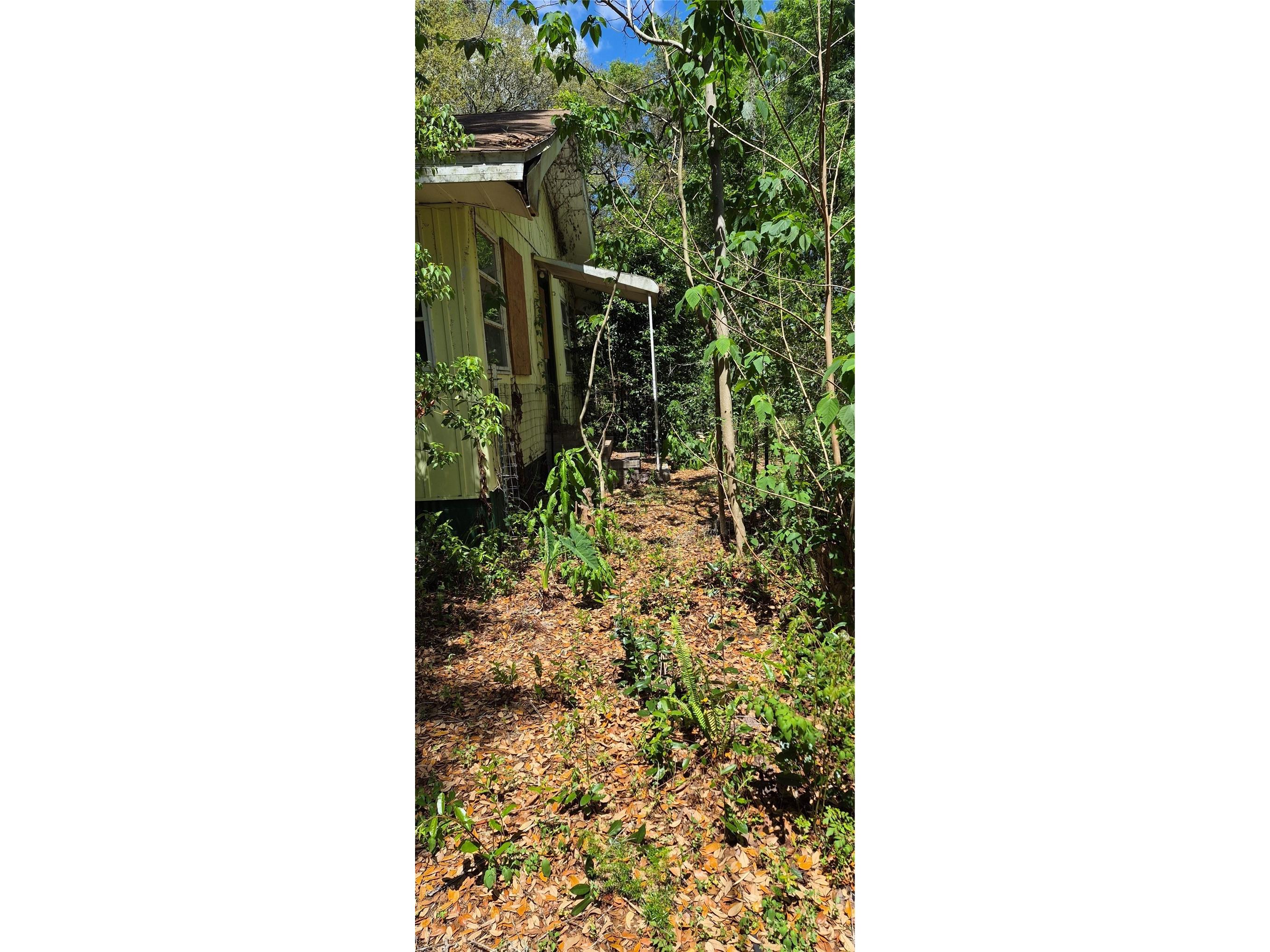 1491 SE 189th Avenue Silver Springs FL 34488 OM725306 image28