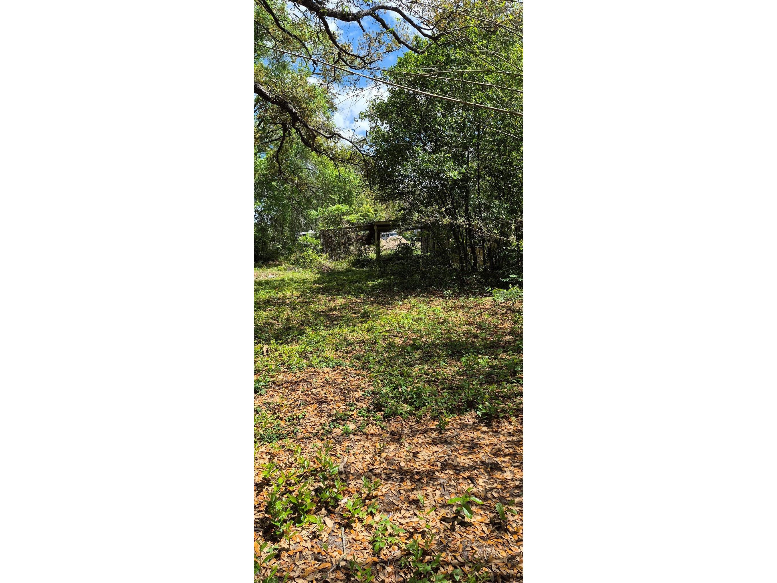 1491 SE 189th Avenue Silver Springs FL 34488 OM725306 image29