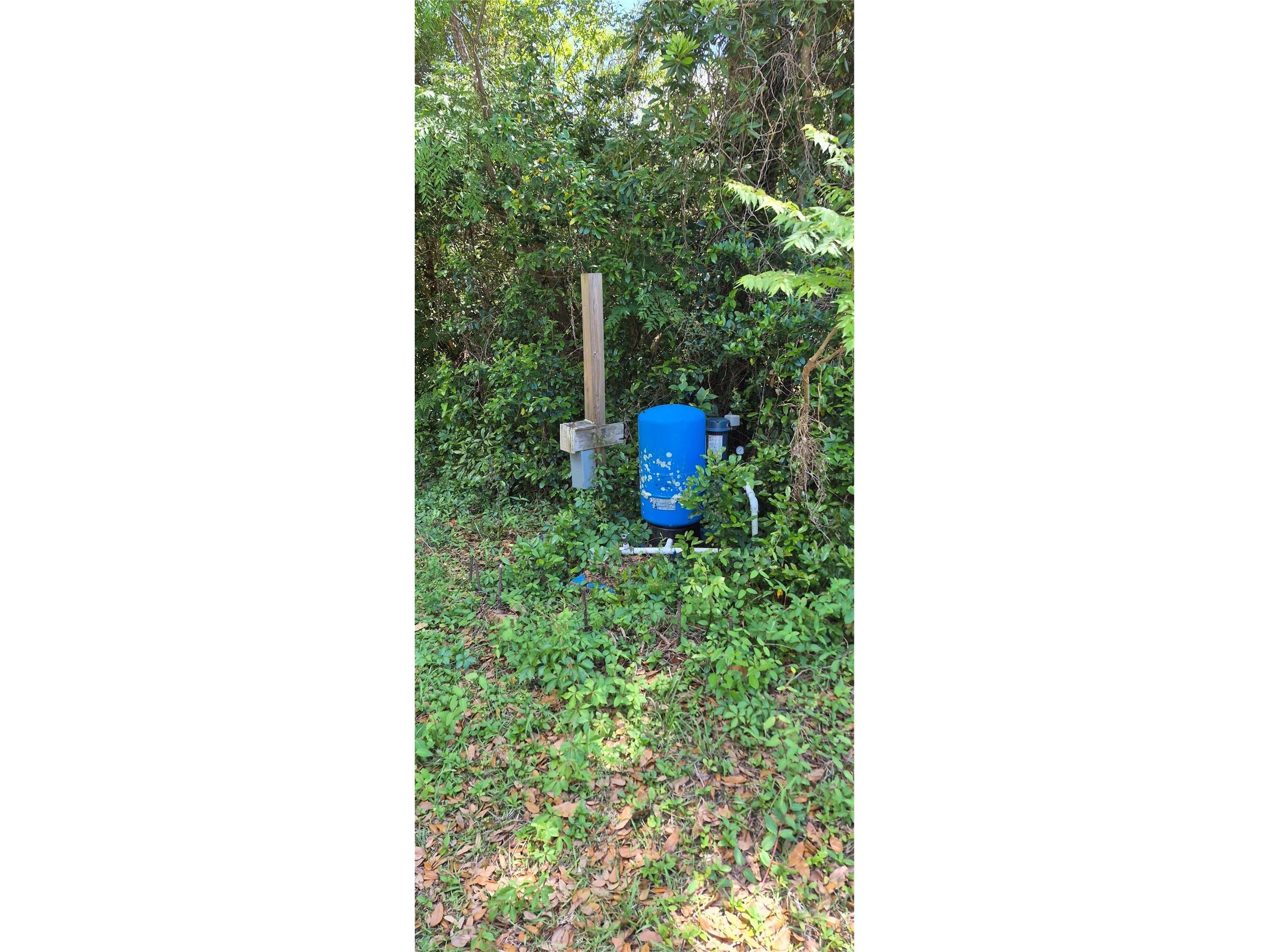 1491 SE 189th Avenue Silver Springs FL 34488 OM725306 image3