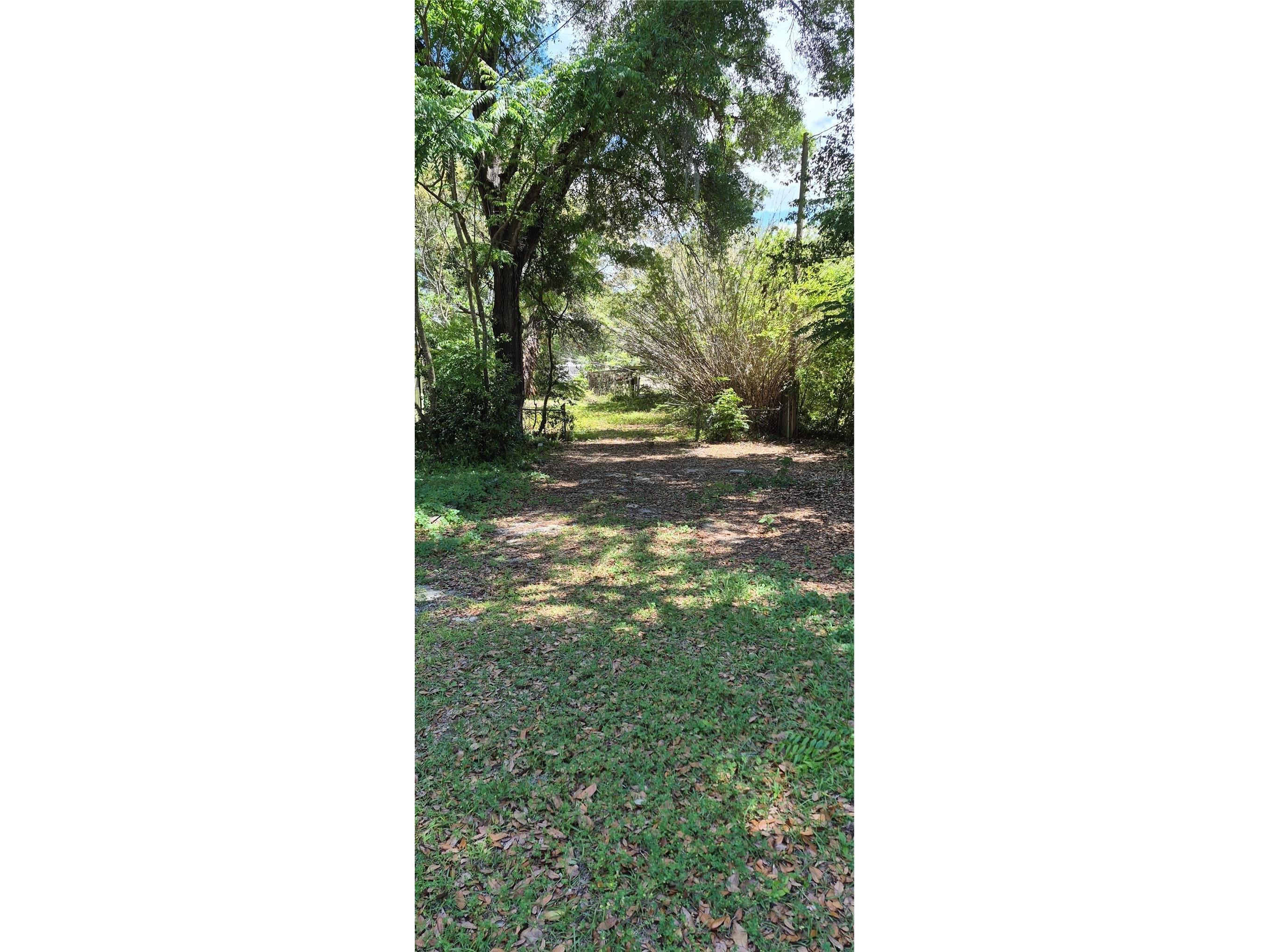 1491 SE 189th Avenue Silver Springs FL 34488 OM725306 image4