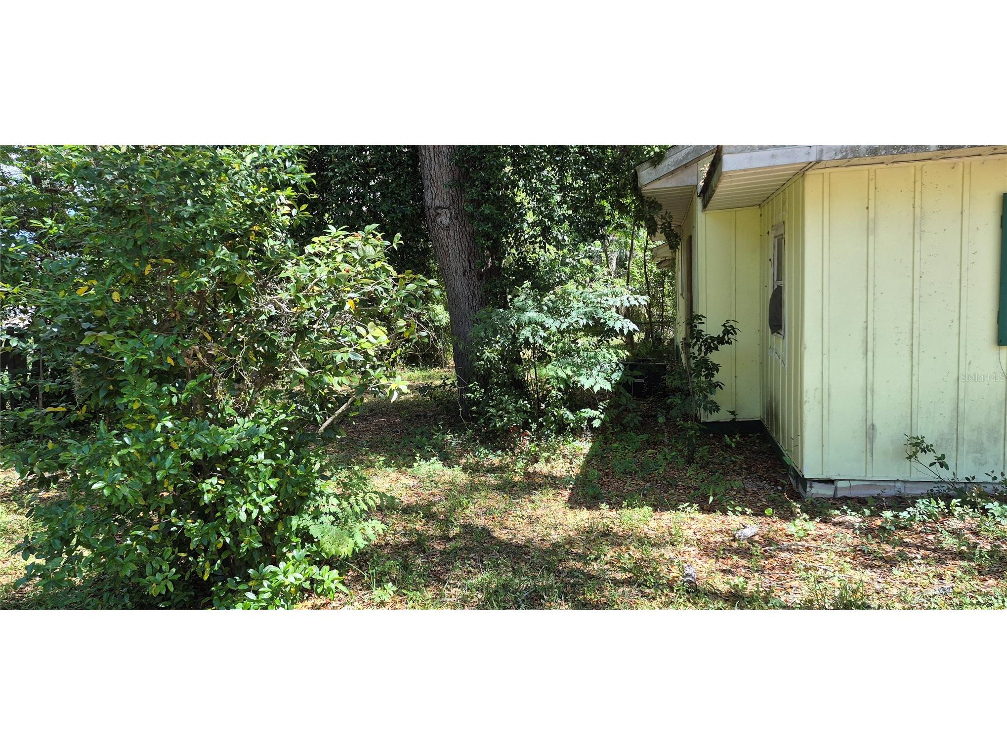 1491 SE 189th Avenue Silver Springs FL 34488 OM725306 image5