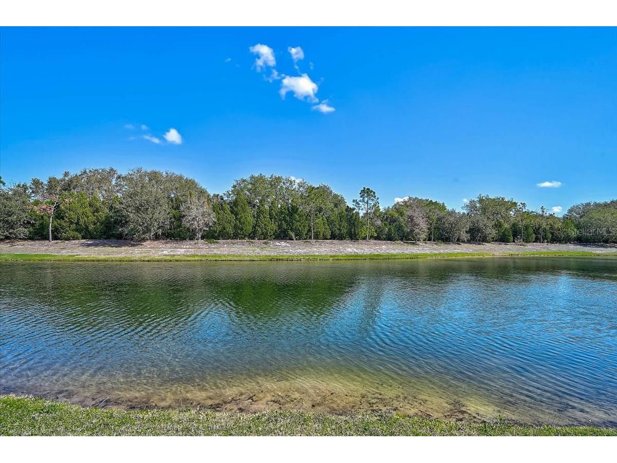 14911 Castle Park Terrace Lakewood Ranch FL 34202 A4687279 image33