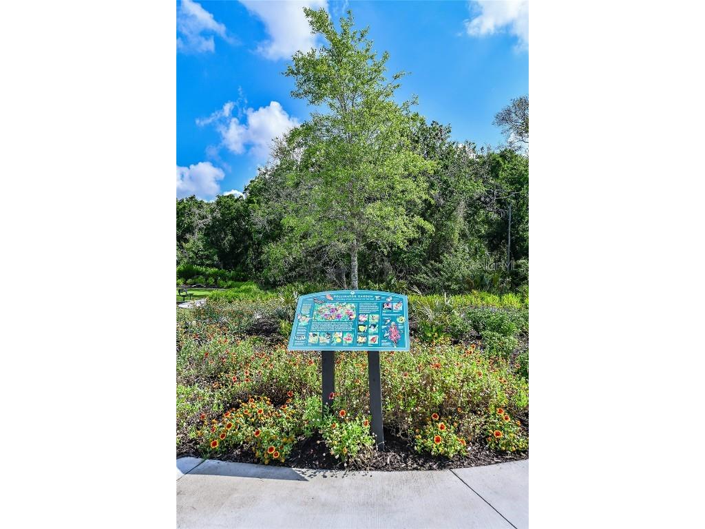 14911 Contenta Loop Bradenton FL 34211 A4659015 image53