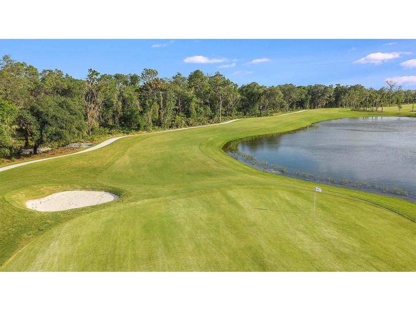 14911 Contenta Loop Bradenton FL 34211 A4659015 image69